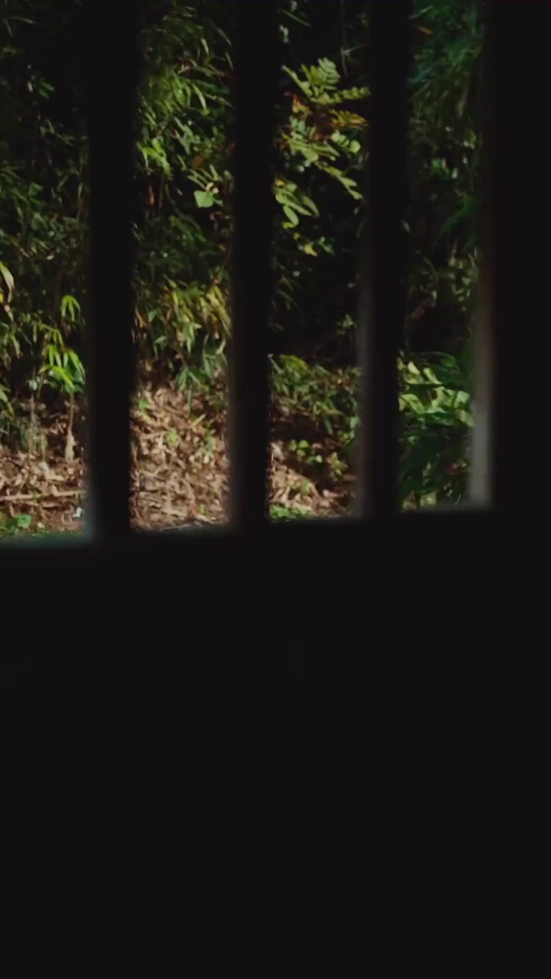 (Dubbed) Mr. Calculated & Ms. Wildfire