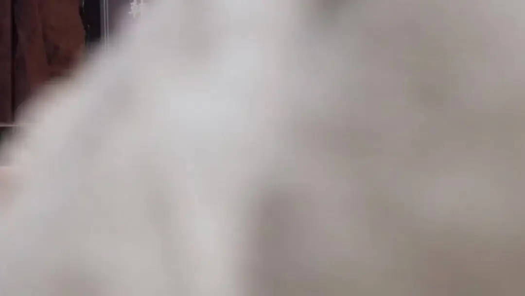 General at the Gates: When Grief Becomes a Weapon in the Ancestral Hall