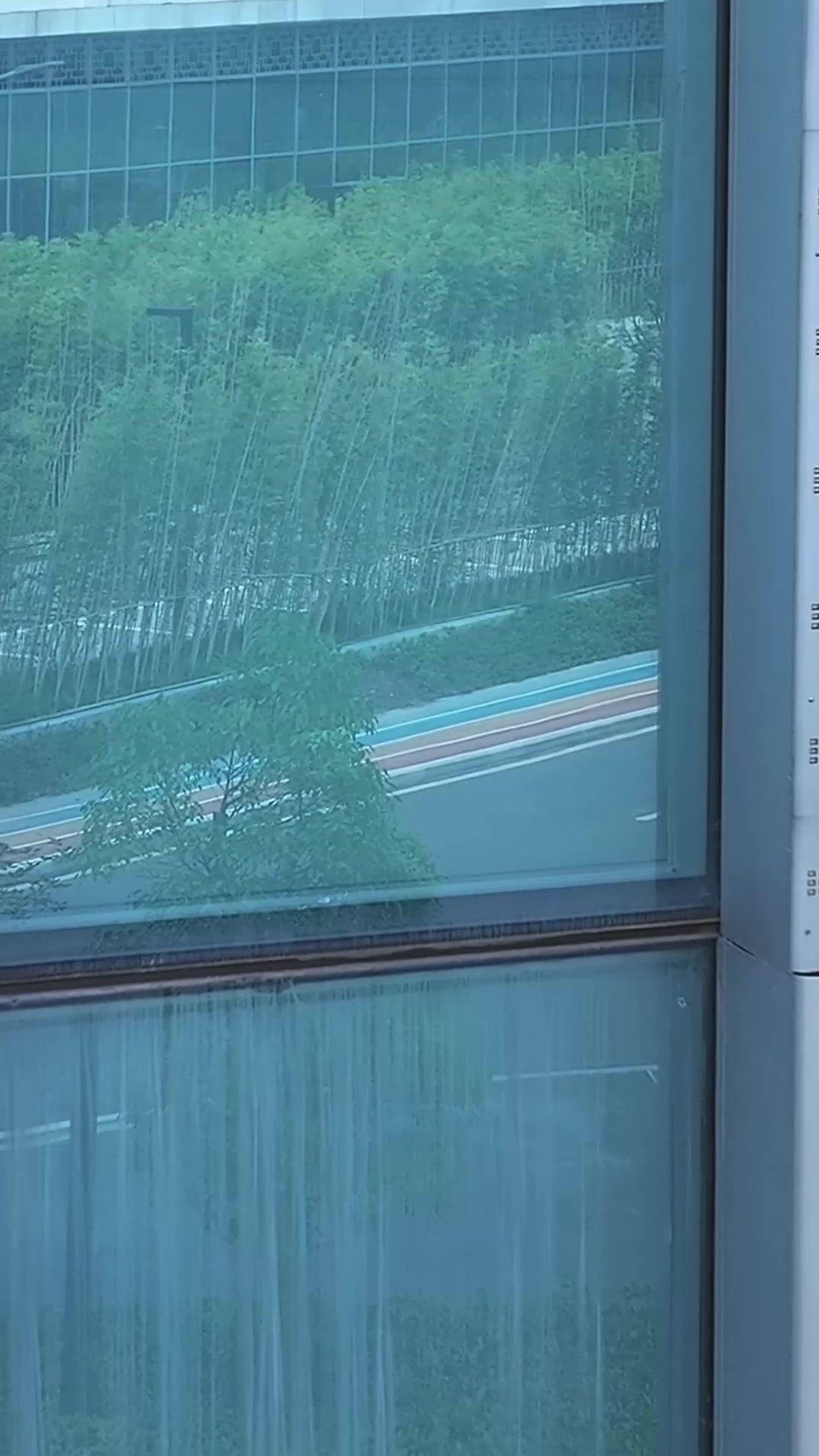 Luz Entre as Sombras