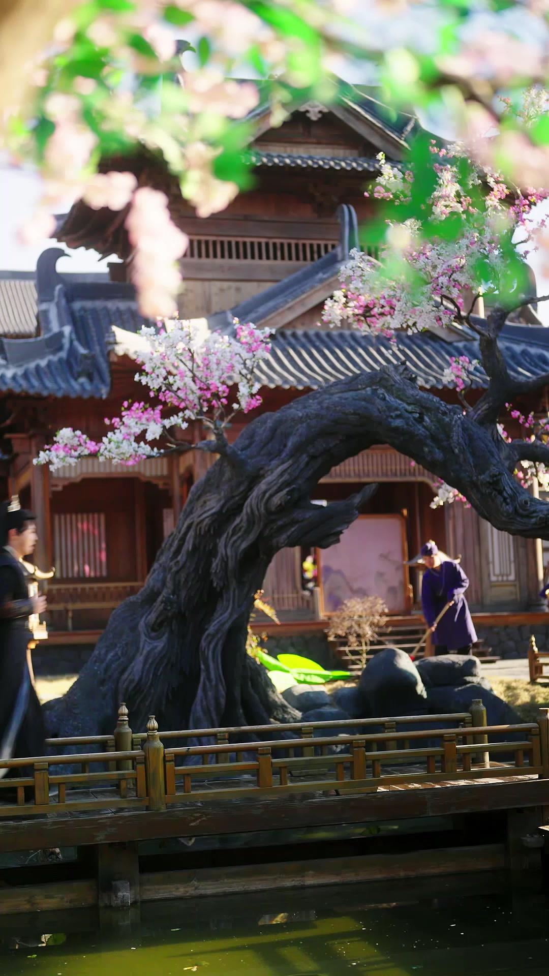 คุณชายสายชิล ลุยชิงทั้งแผ่นดิน