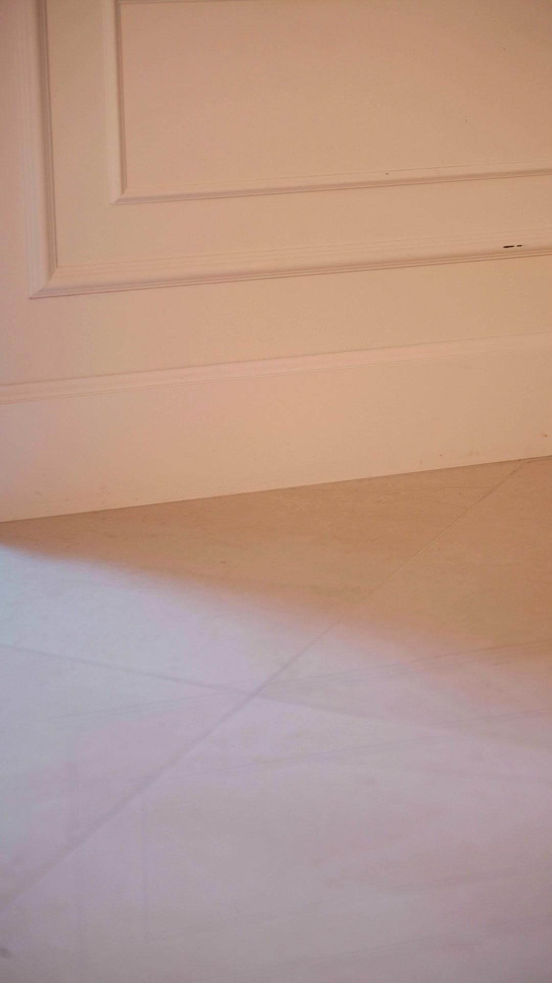 A Noiva Predestinada do Rei Alpha