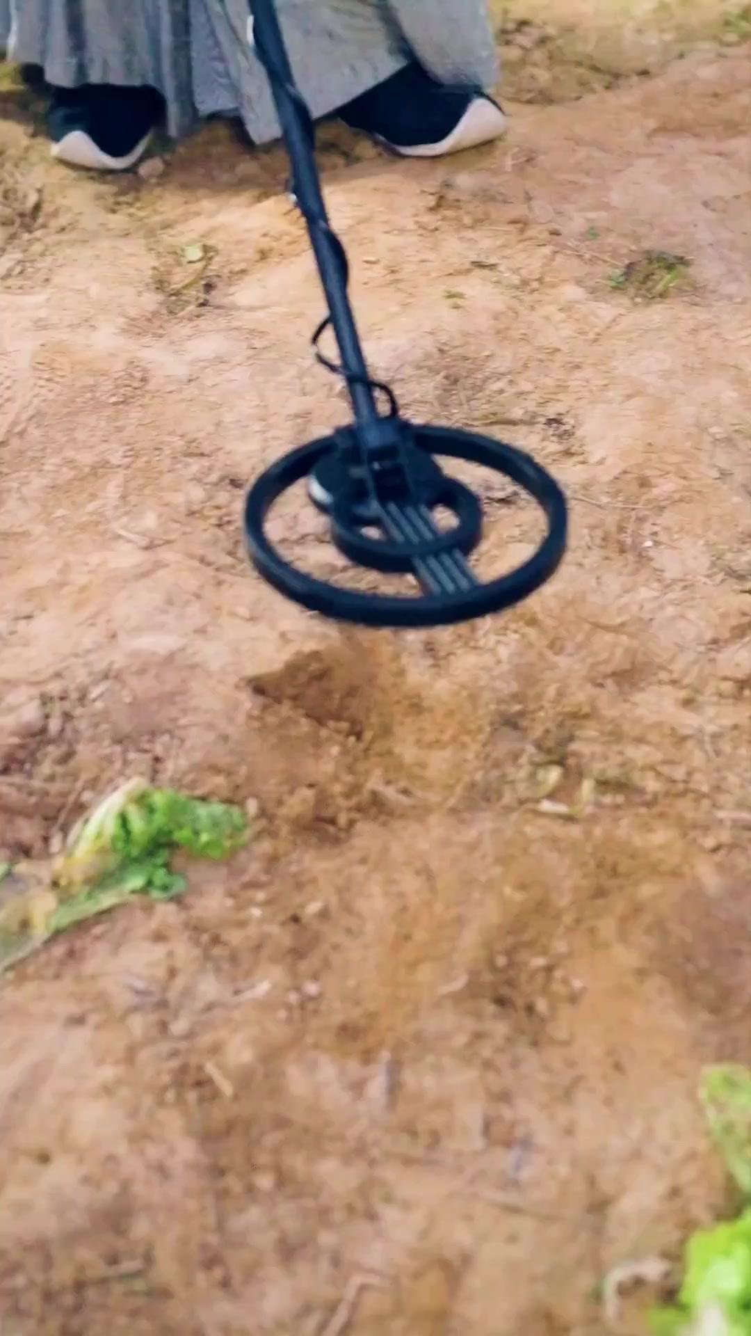 (مدبلج) نظام الزواج القديم، مكافأة الحُسنا