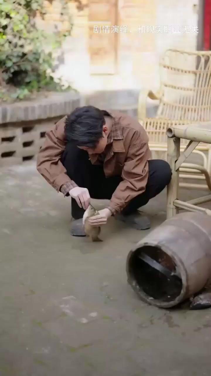 誤愛綠茶後我回鄉當霸主