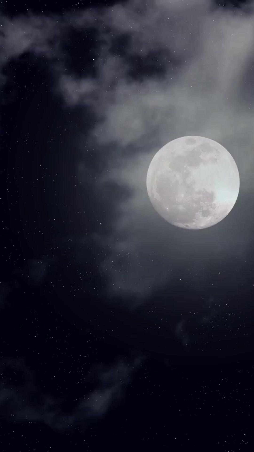 LES INTERDITS DU CERCUEIL 