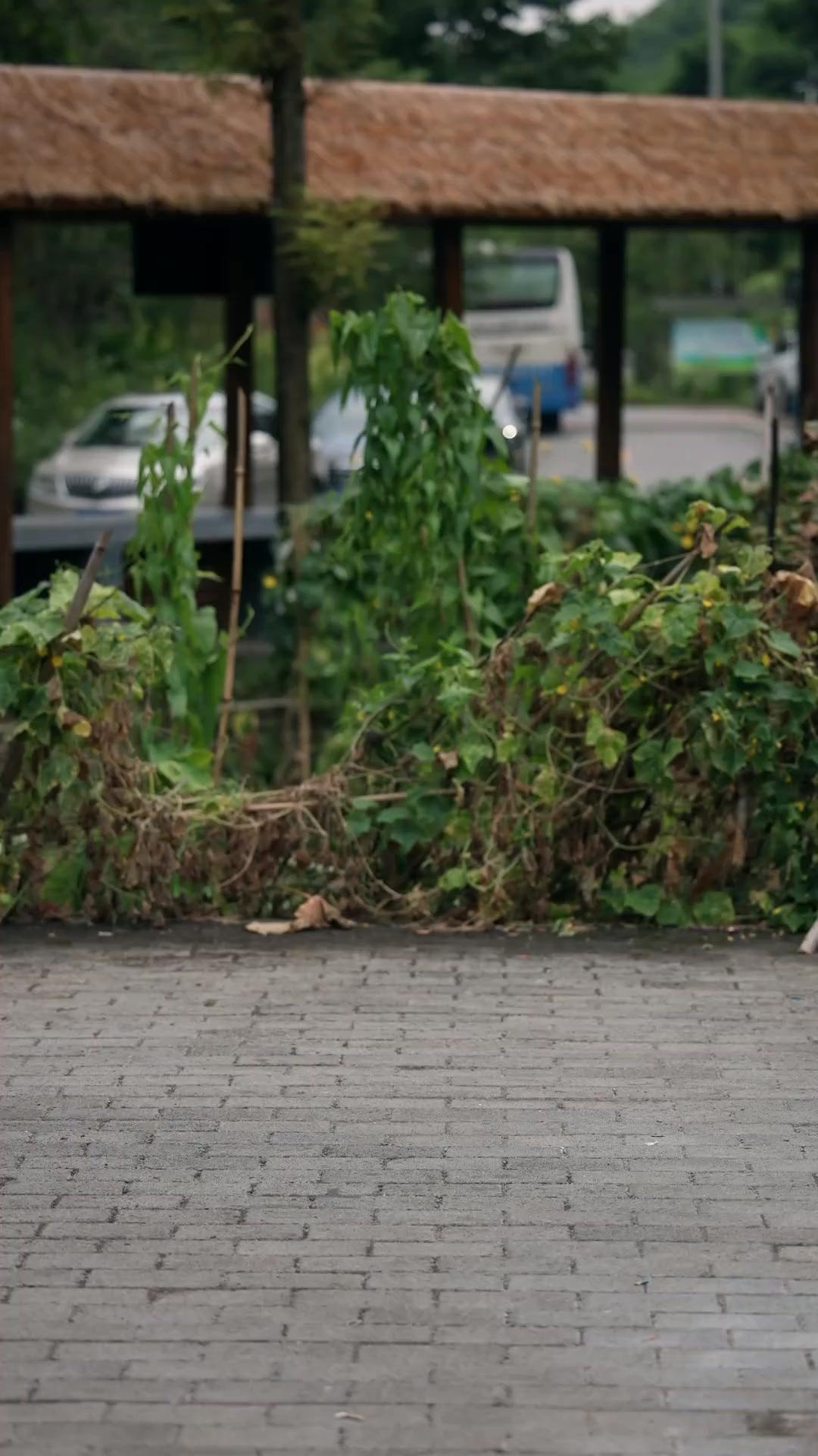 มองทิศเหนือคิดถึงทิศใต้