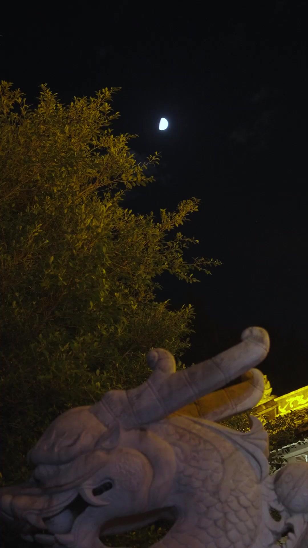 La venganza de la luna