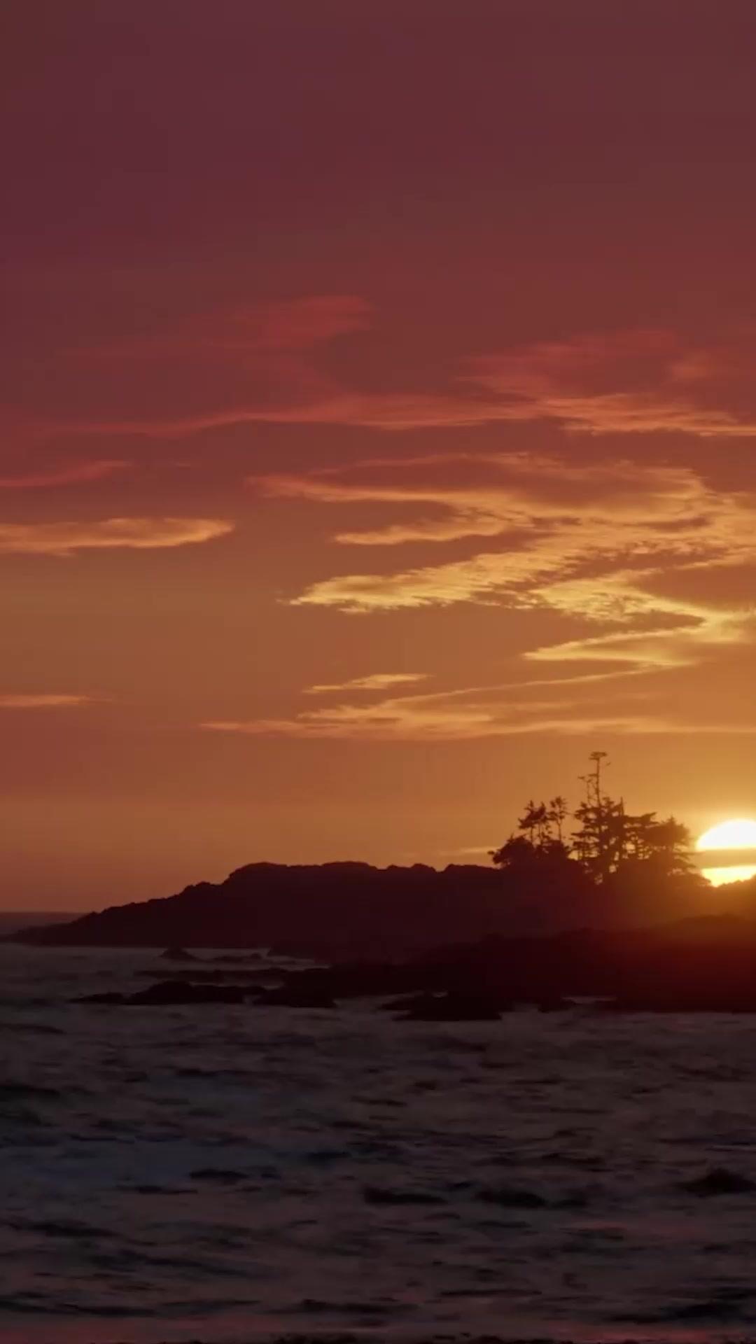 Lari!  Jerung raksasa datang!