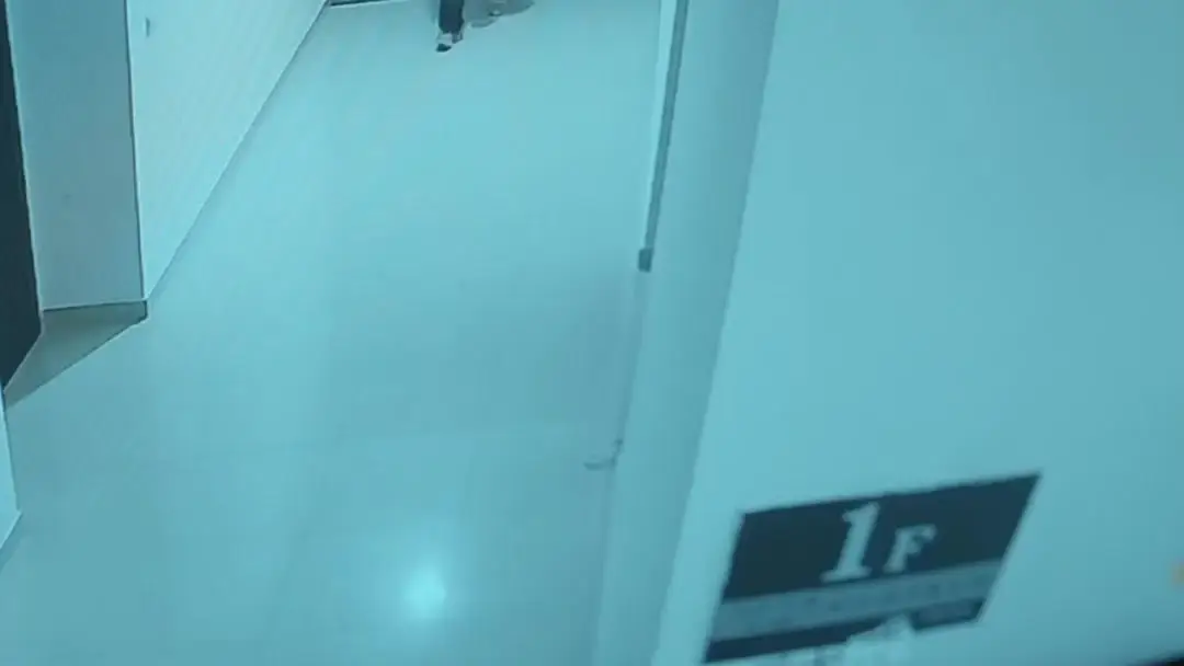 Predator Under Roof: When the Walkie-Talkie Stops Transmitting