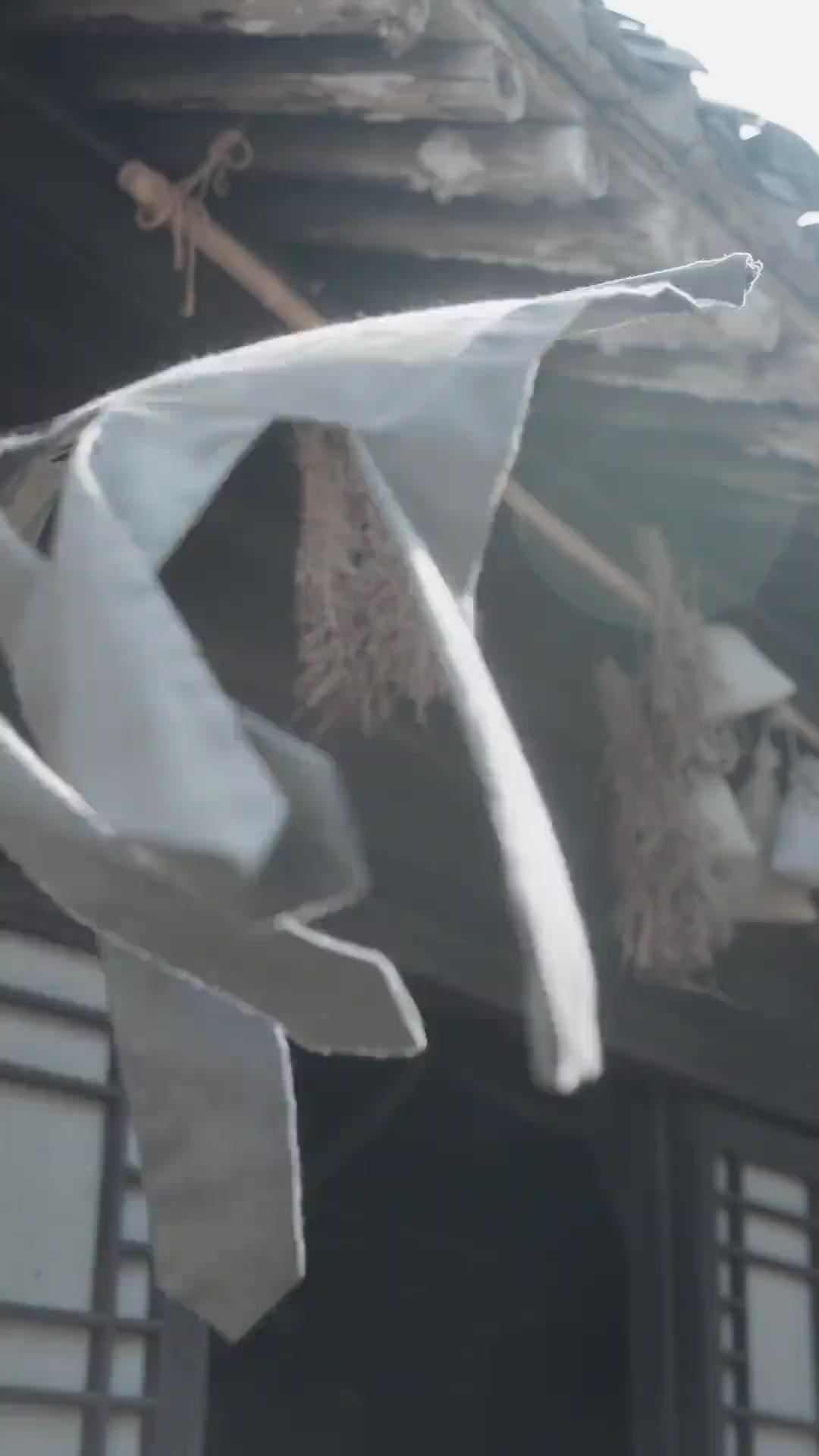 Main Survived, Married aur Conquered!