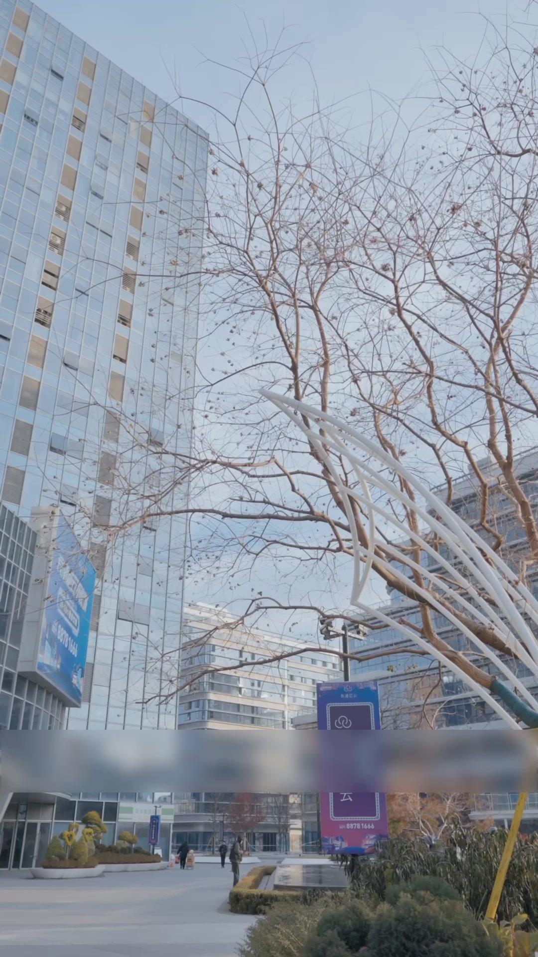 Istri Bos Bosan, Mulai Kerja Hari Ini