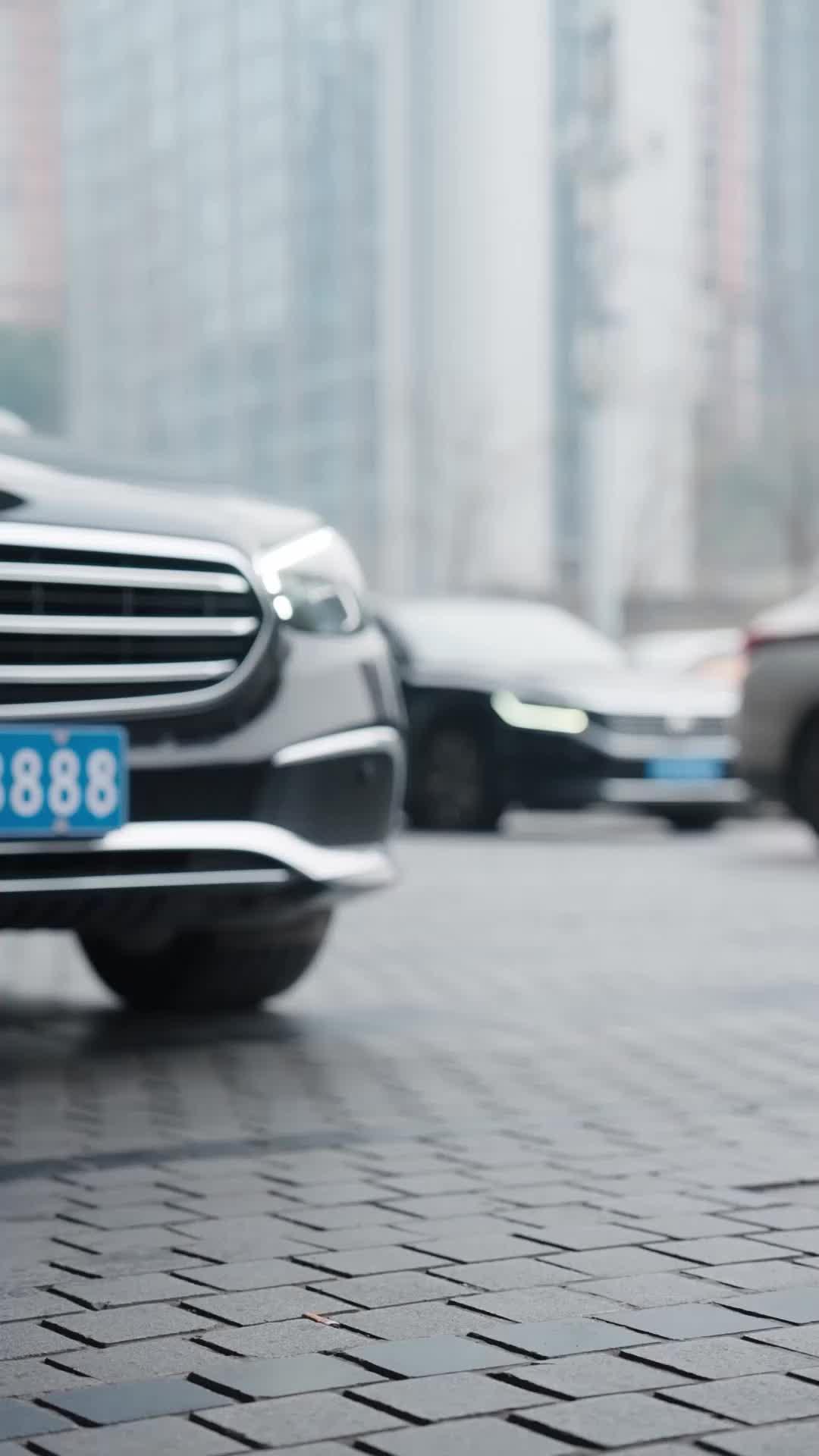 Thunder Tribulation Survivors