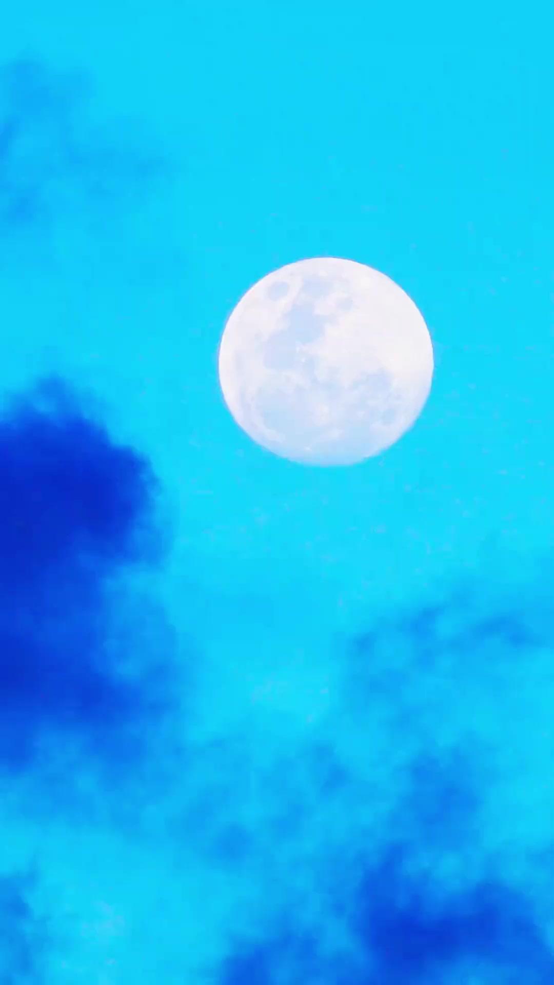 Setelah Bangkrut, Jadian Dengan Musuh Kakak