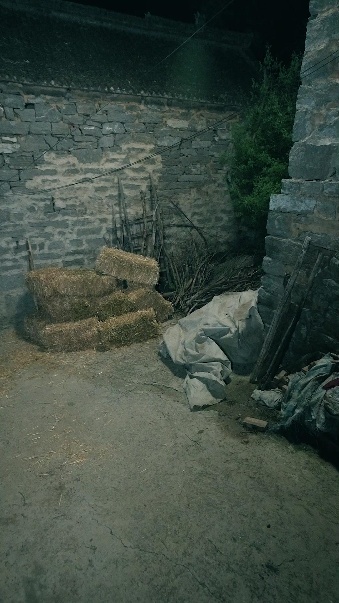 طريق العودة إلى النور