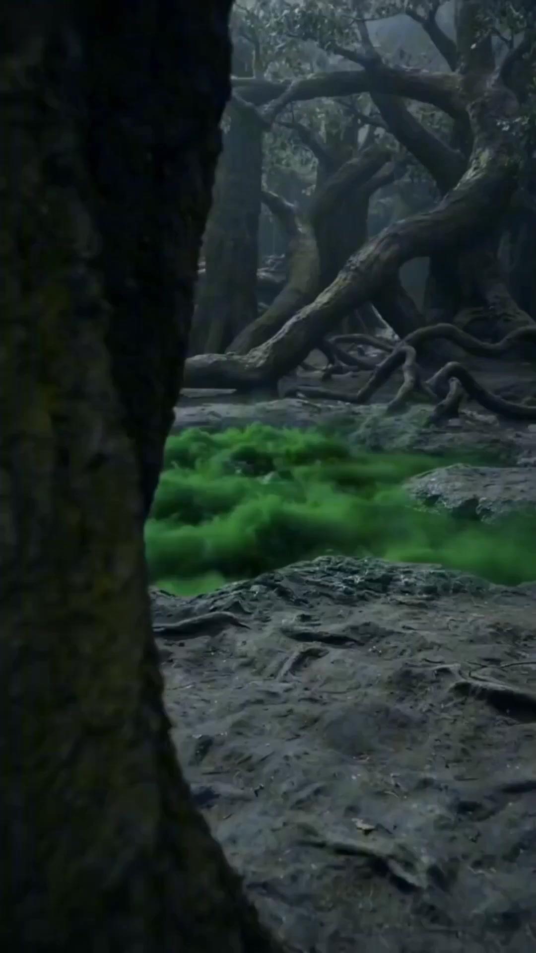 I Destroyed Heaven! Now What?