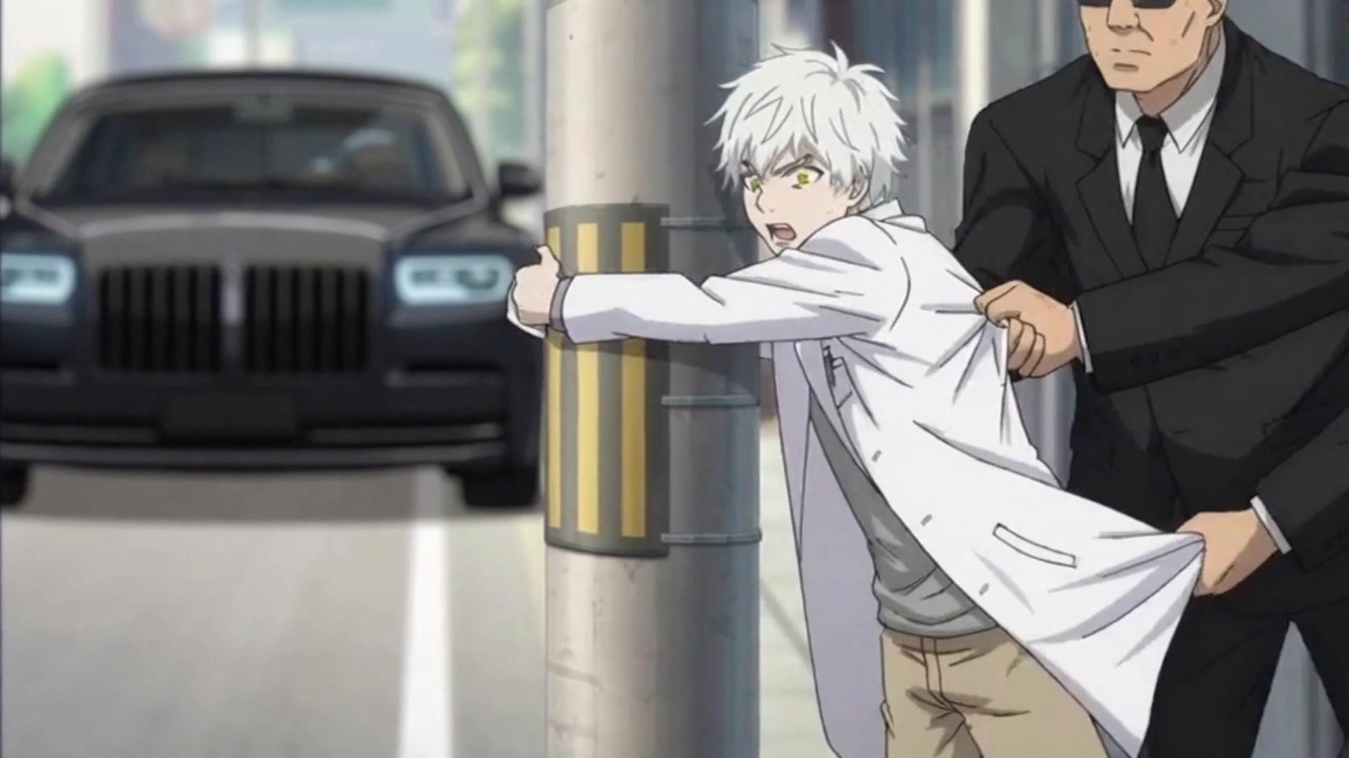 獣医覚醒：全都市の動物、我が指令に従え