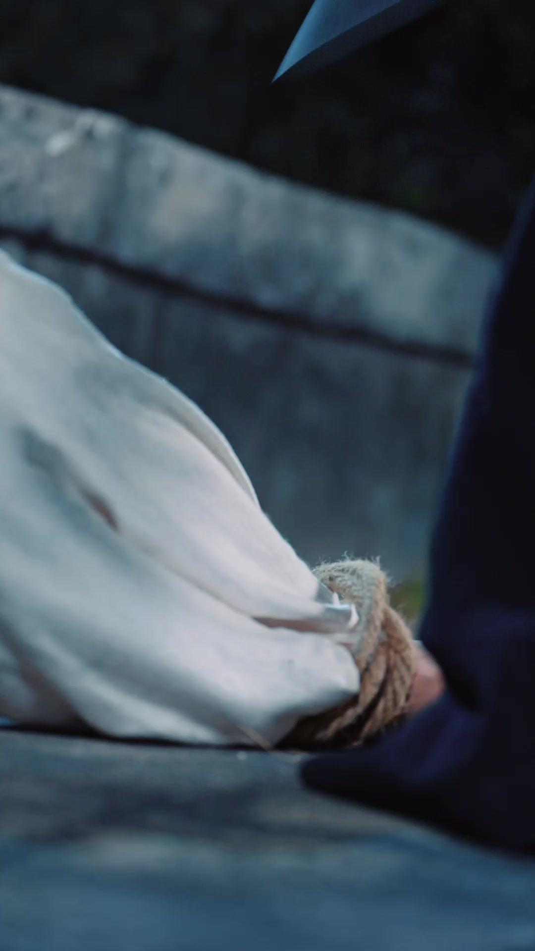 His Blade, Never His Bride