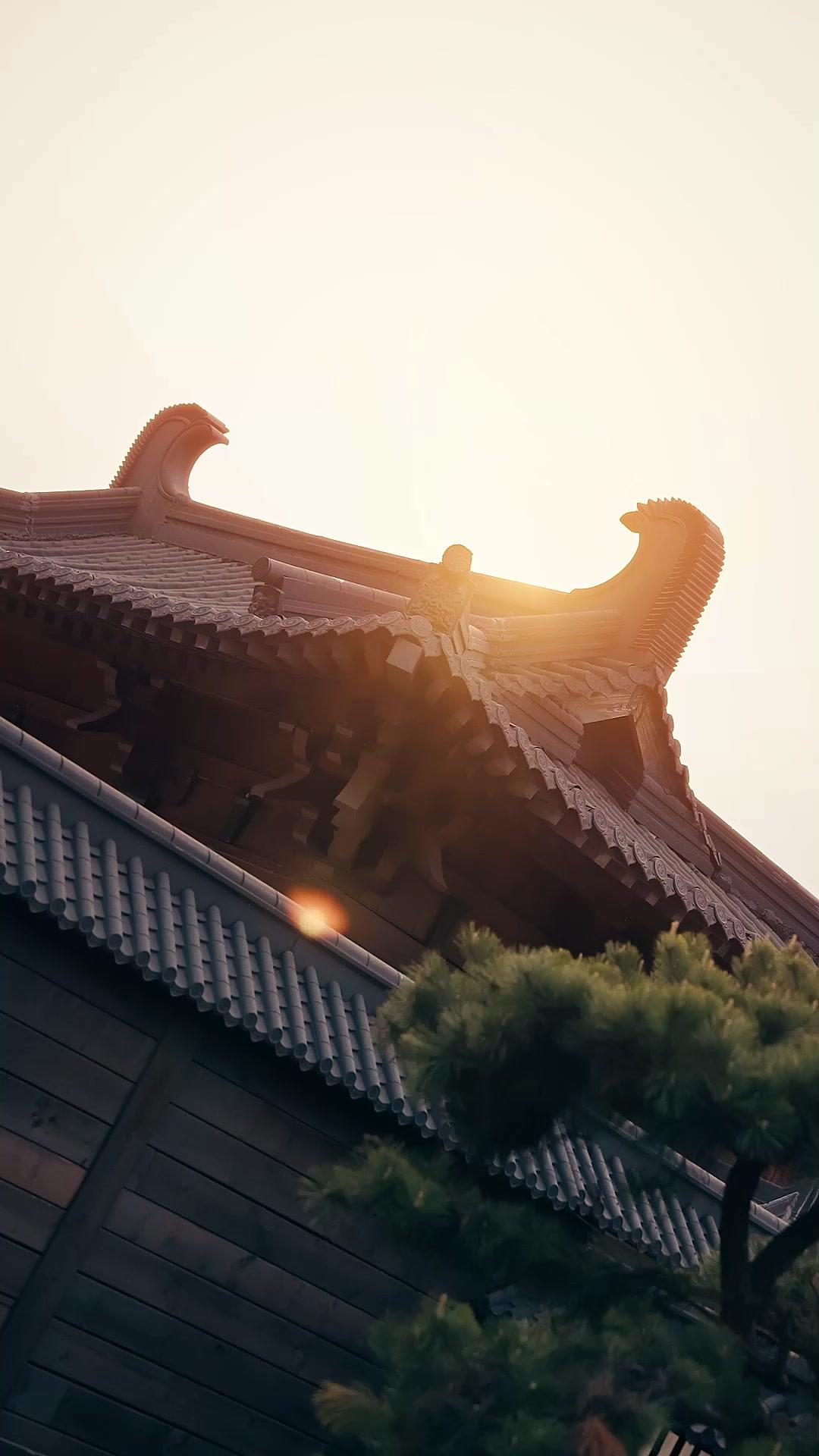 PRINCESSE CHASSEUSE DE ROI LOUP