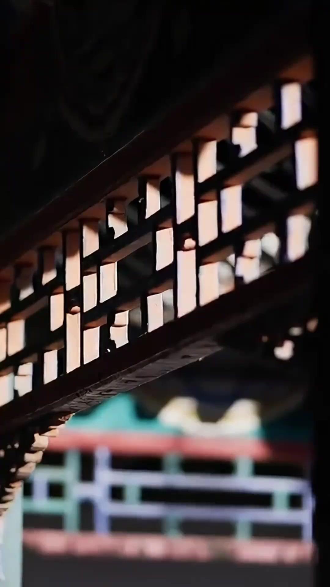 ชะตาให้เลือกเจ้า