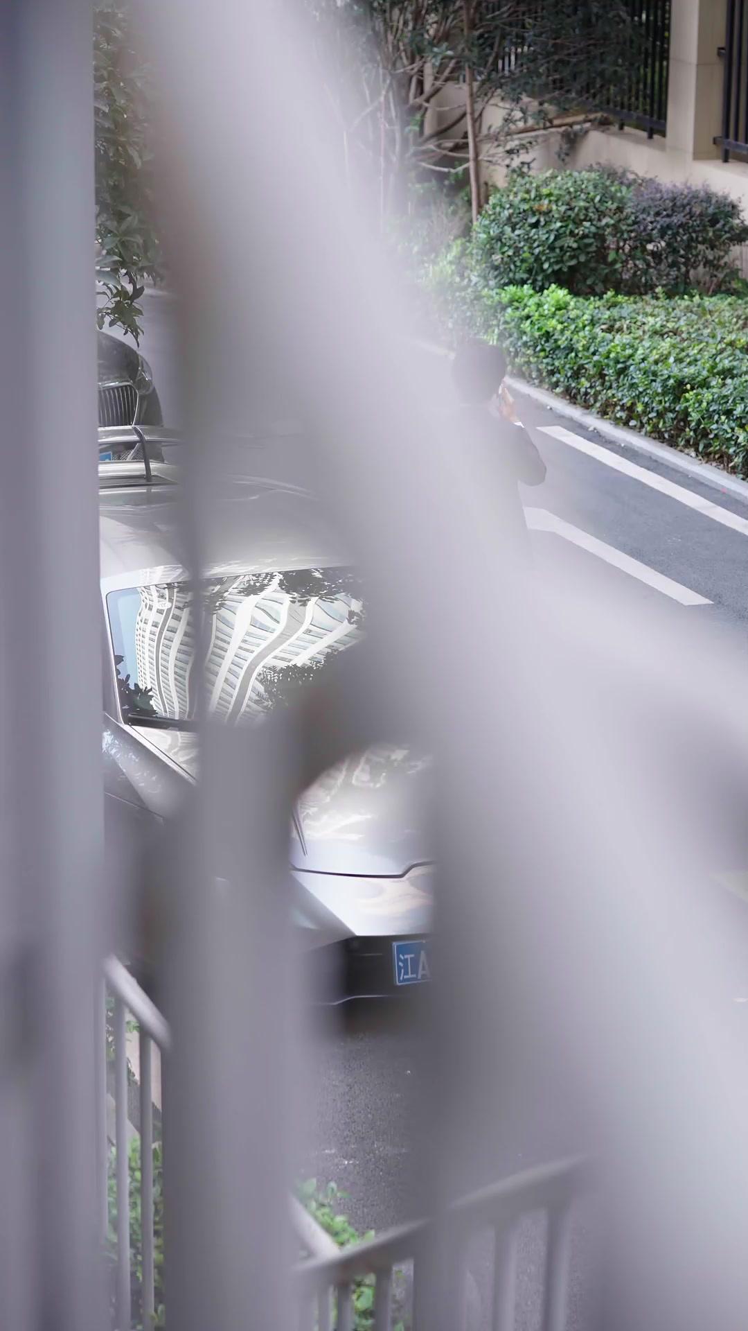 出獄閃婚，霸總寵我入骨