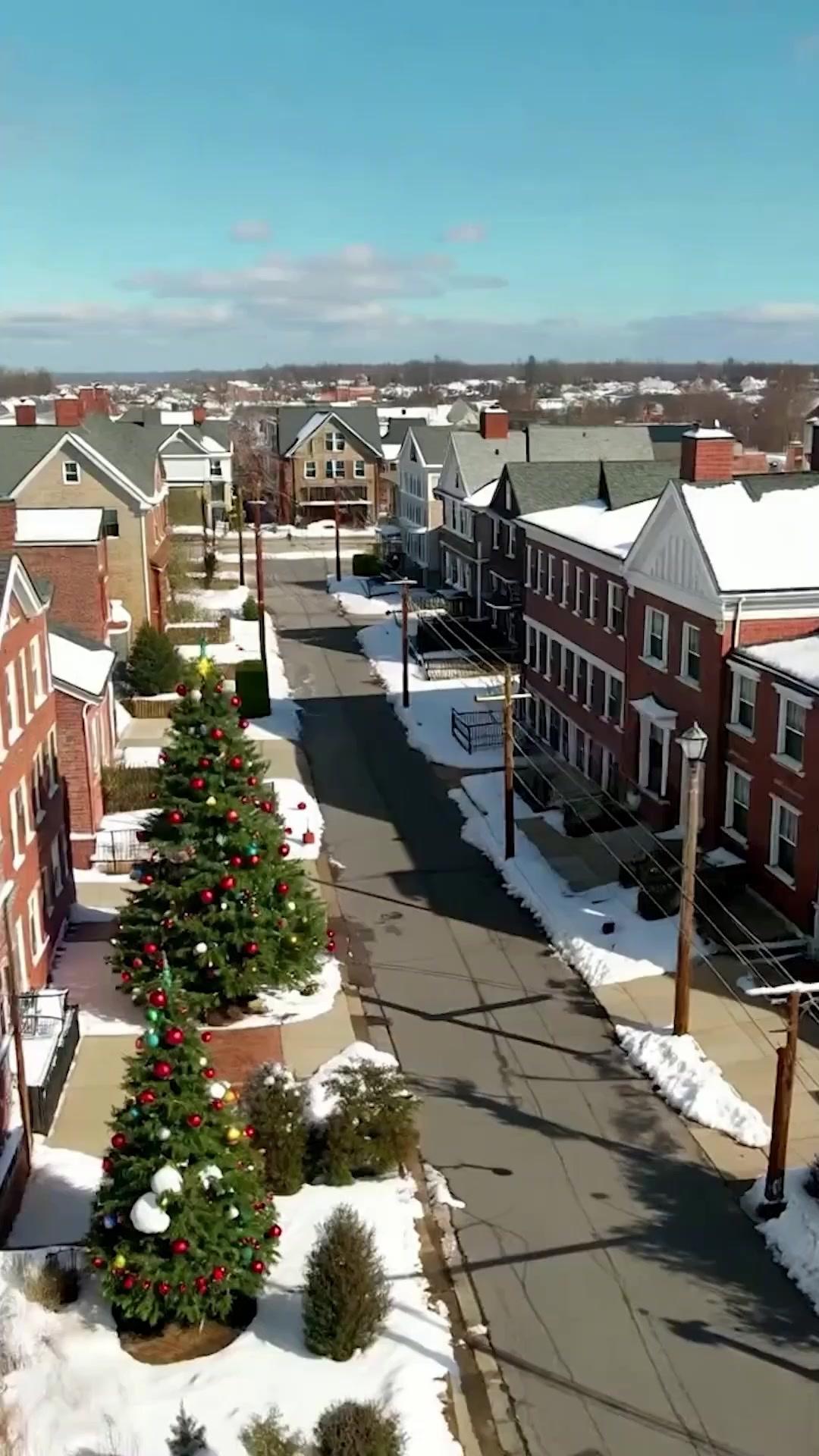 Apaixonada pelo Bilionário da Favela