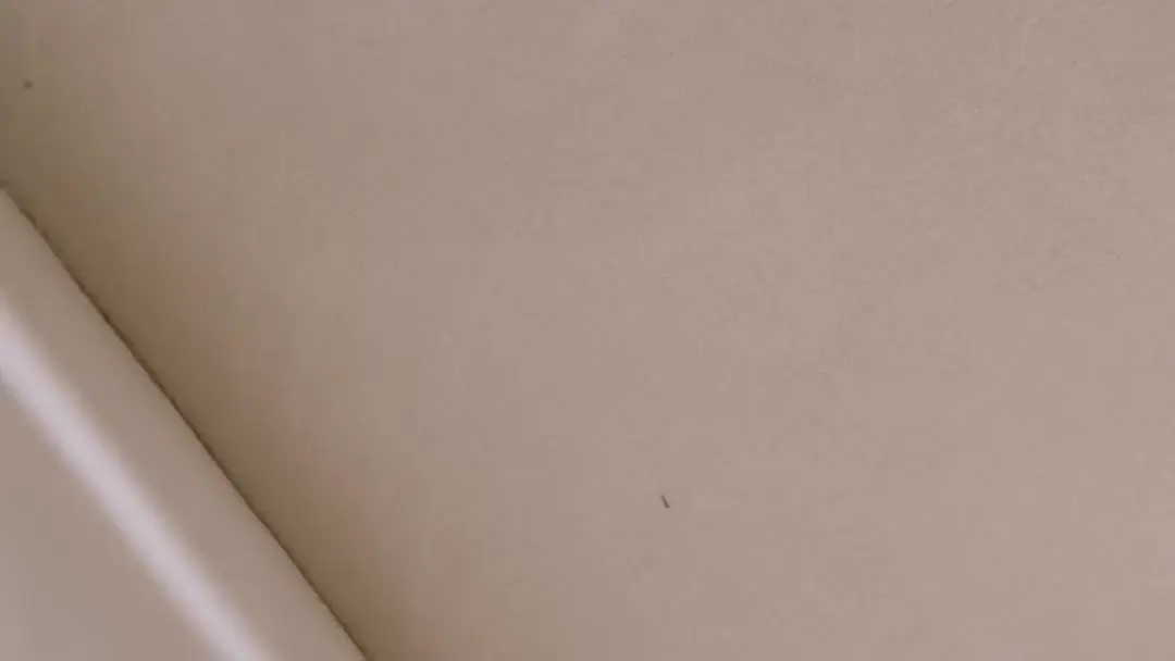 Silent Body Language Speaks Loudest