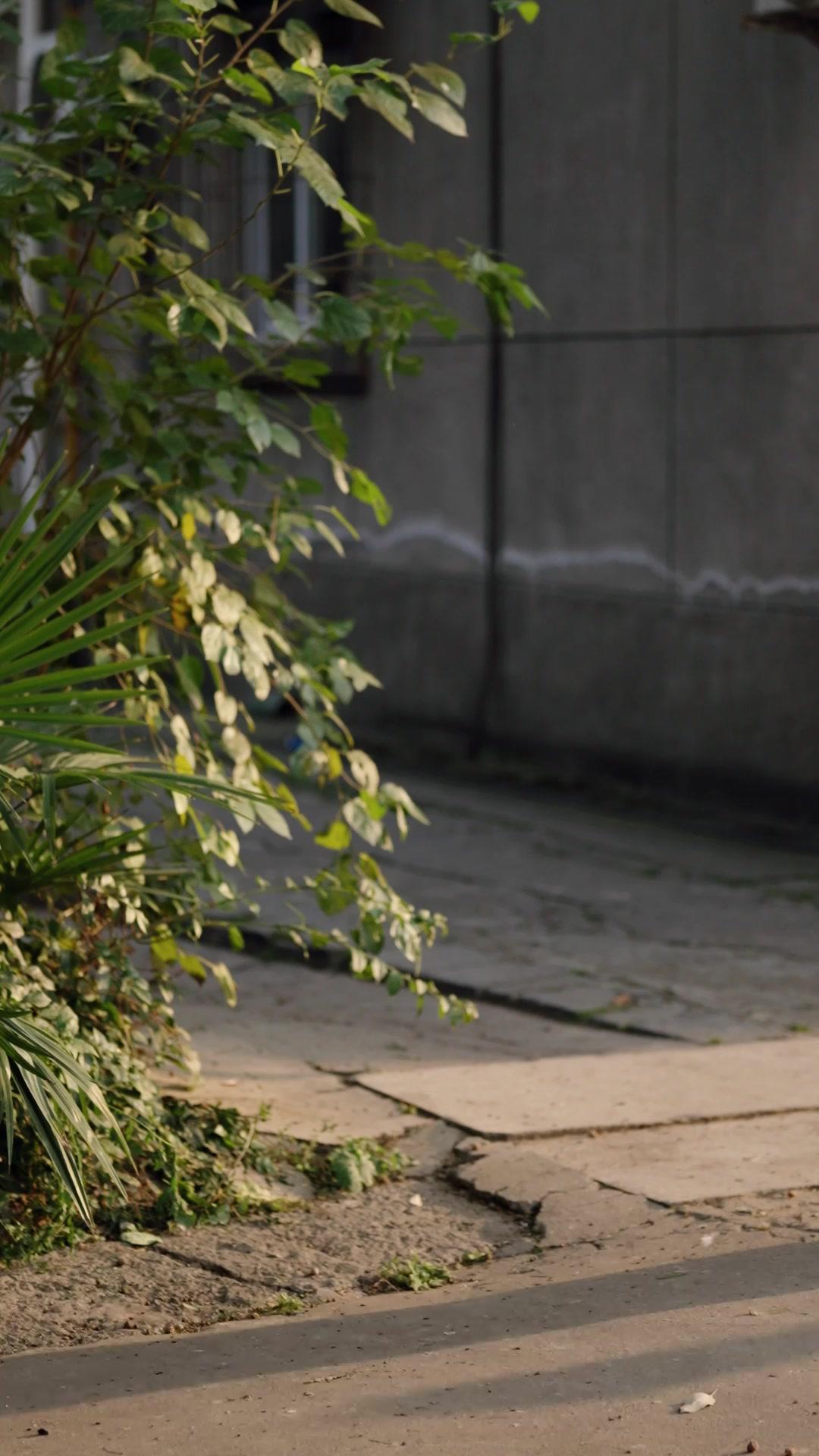 Kenangan di Lorong Itu