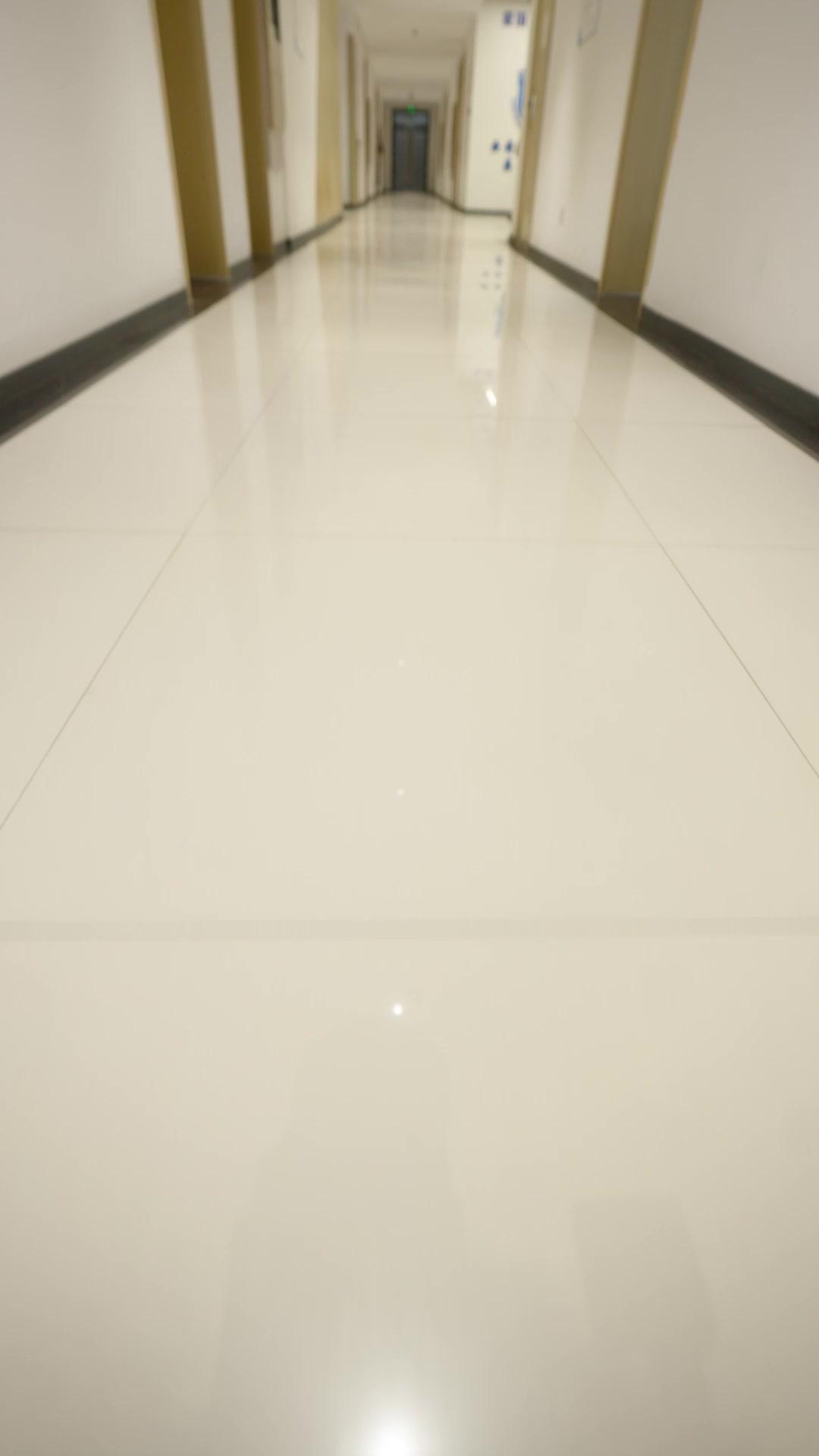 Voltei pra Escola? Ainda sou o Chefe!