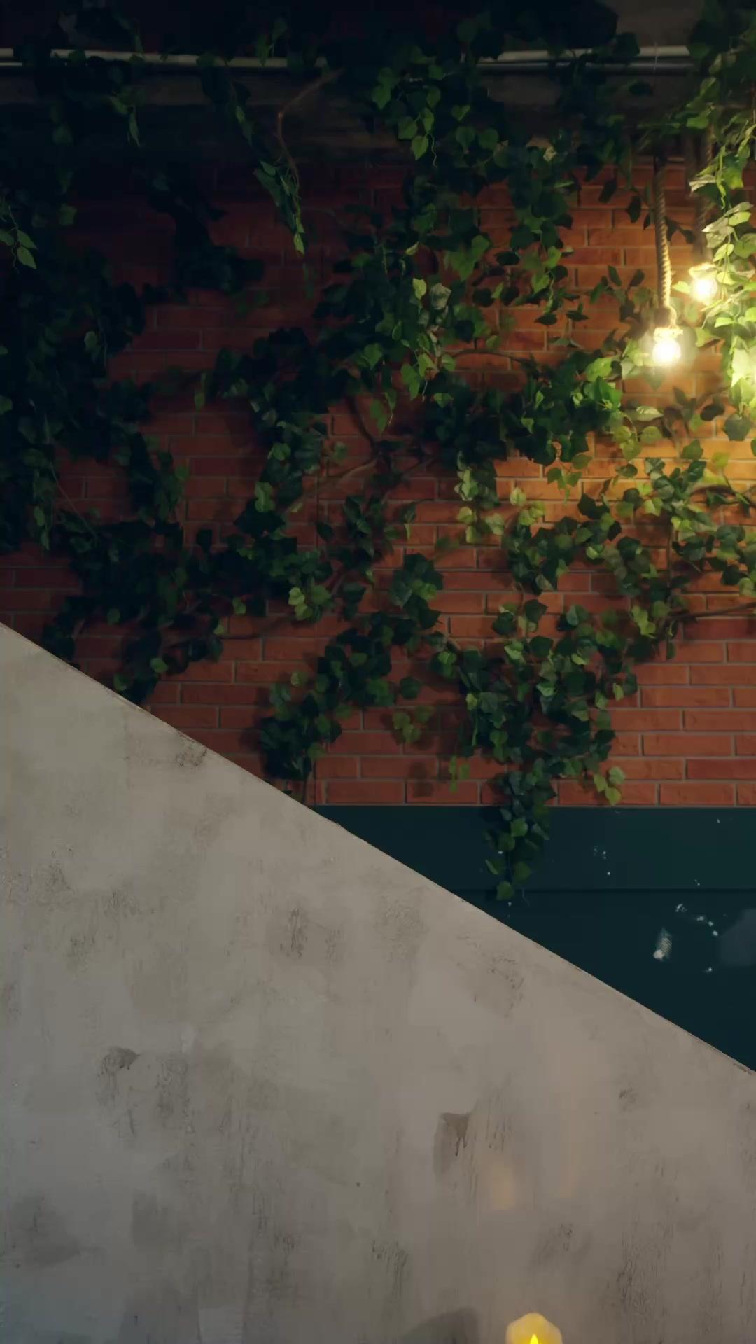 .Cintaku Bersemi Kembali