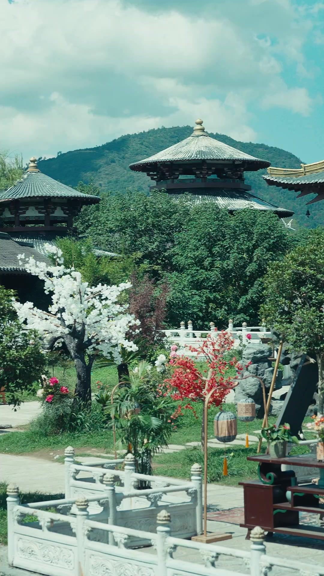 I Became My Sister to Avenge Her