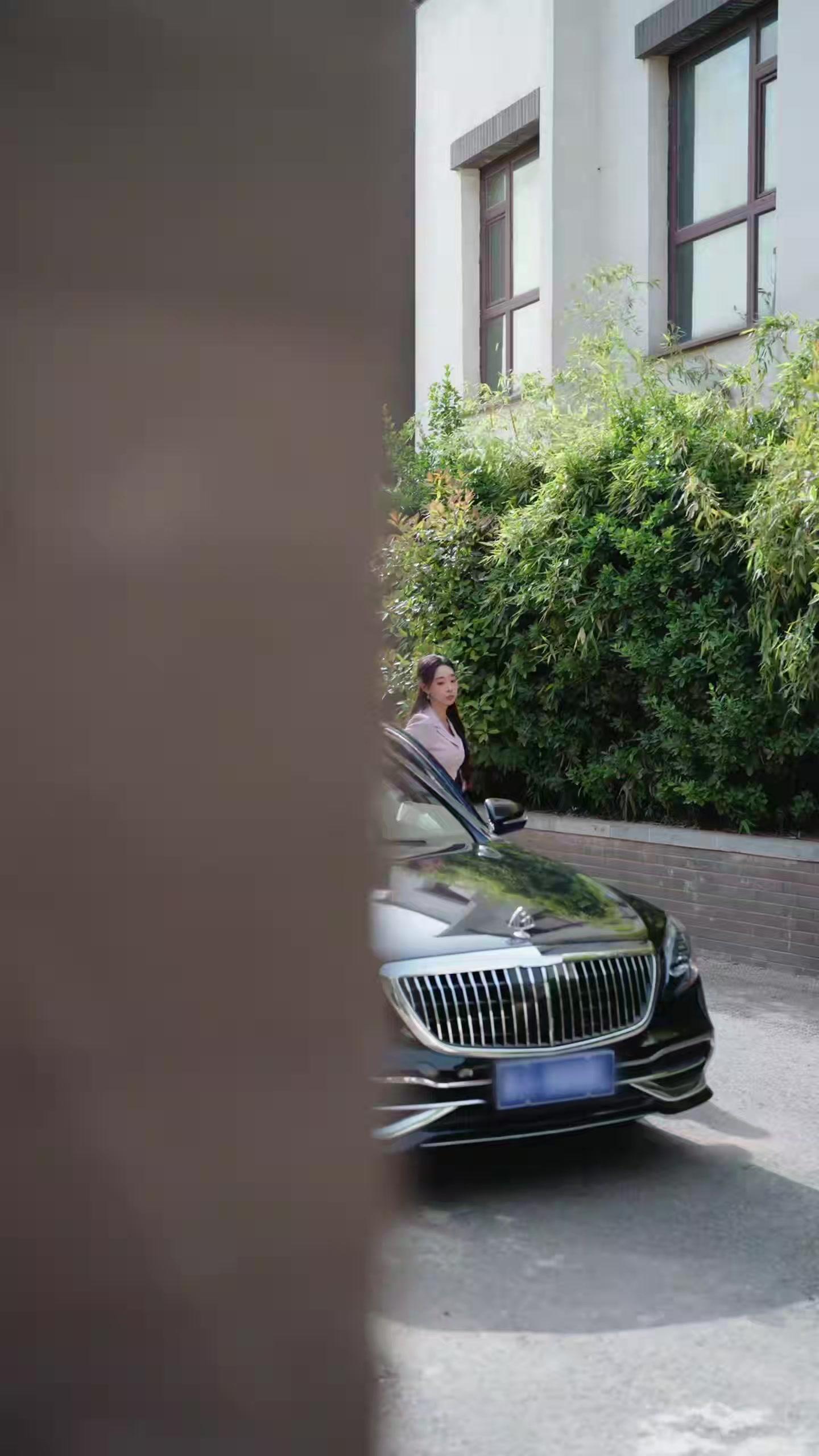 Plano da Viúva: Um Herdeiro Secreto