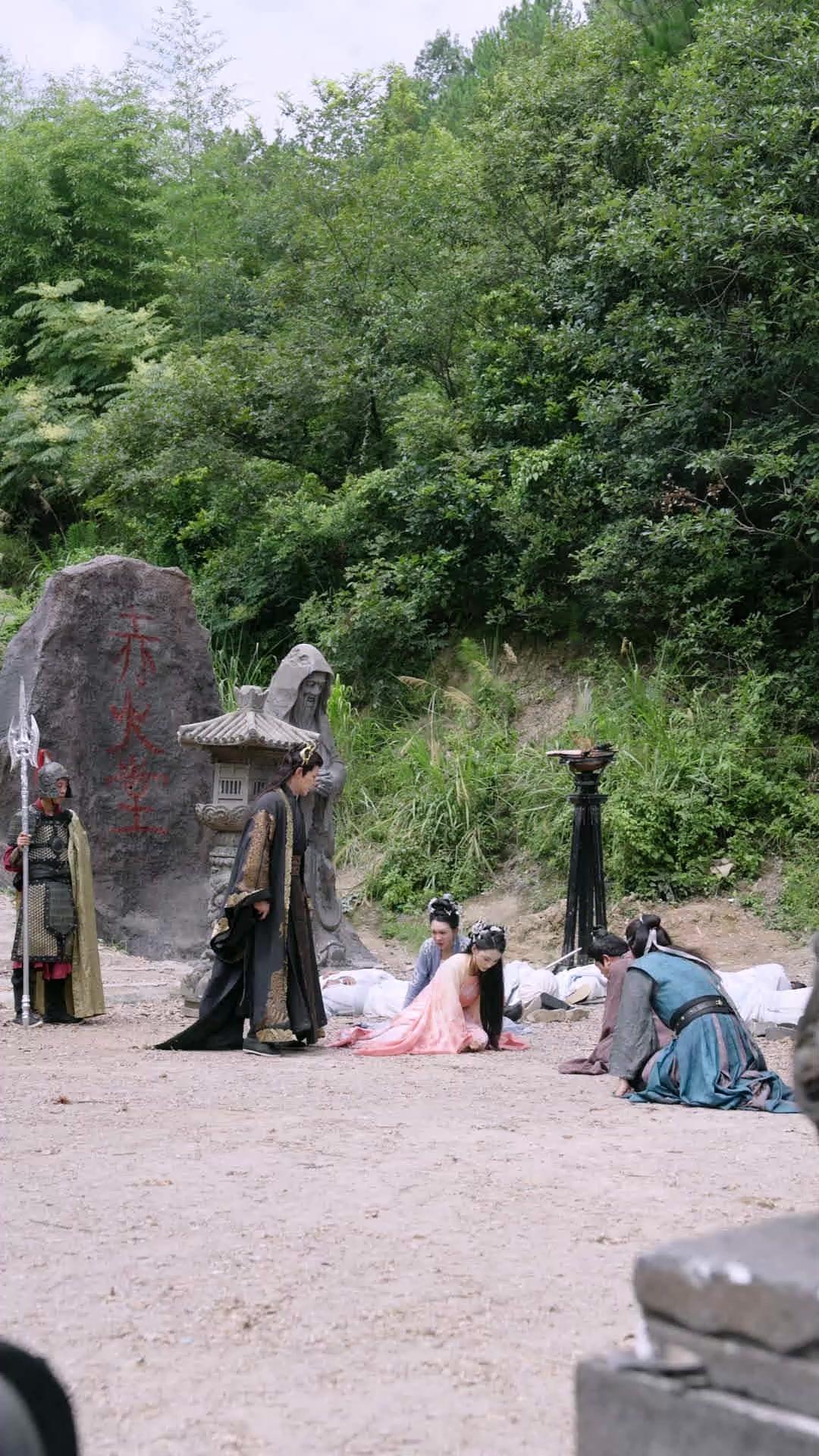 VISAGE VOLÉ, DESTIN BRISÉ