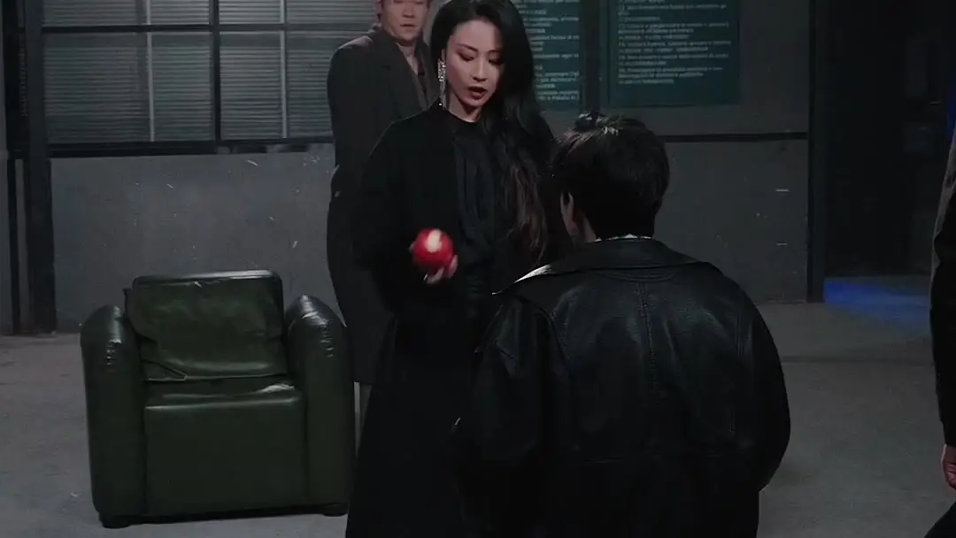 Snowfall After the Storm