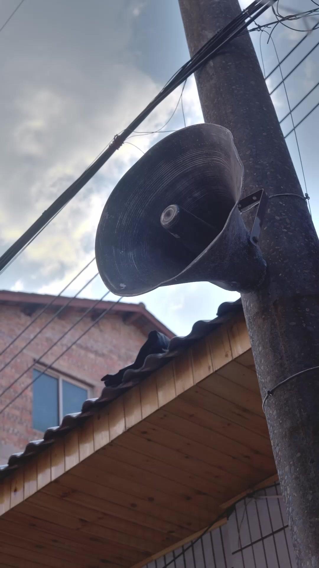 許嫁を探して三千里