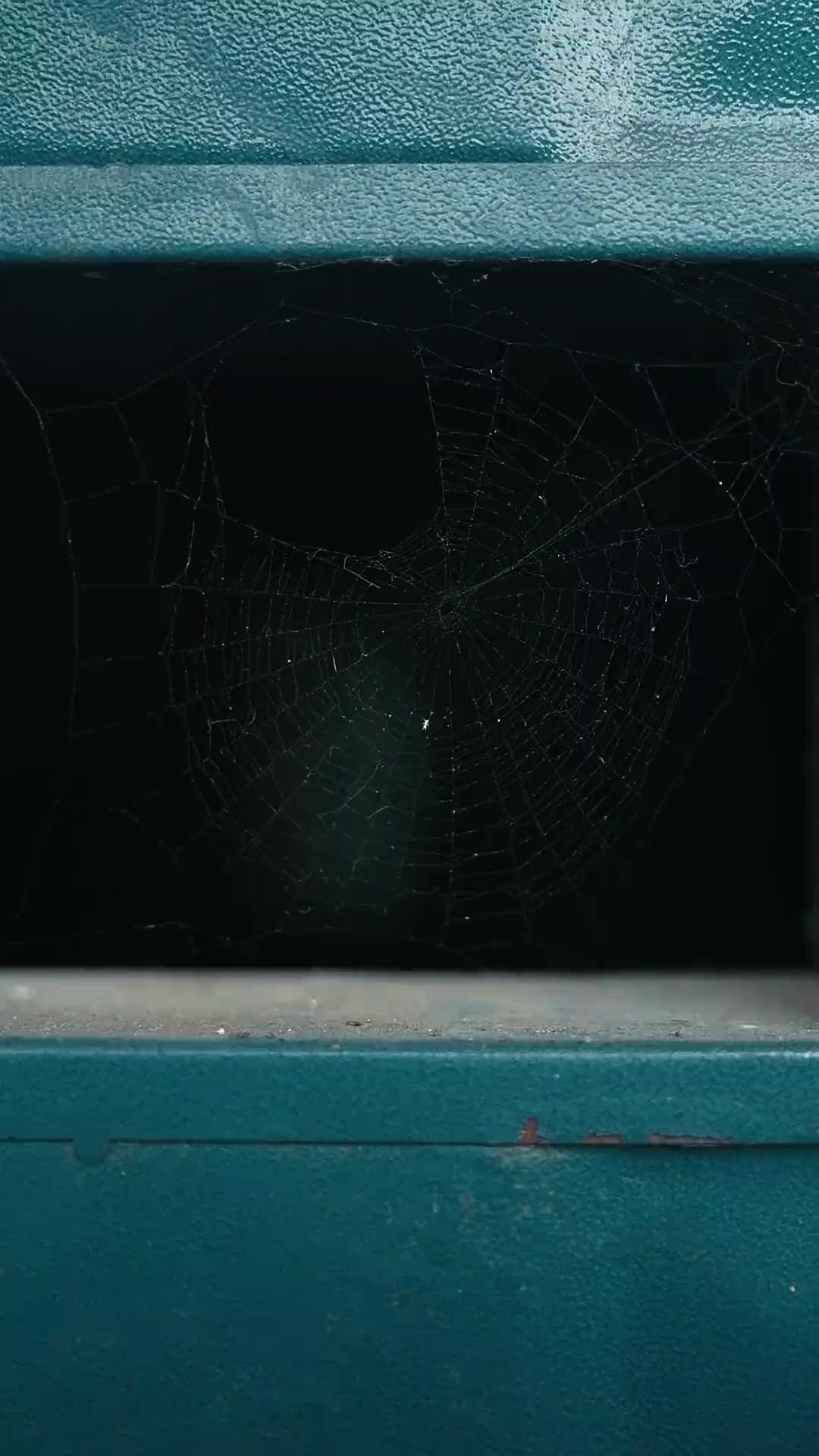 SOUS LE MASQUE, LA REVANCHE