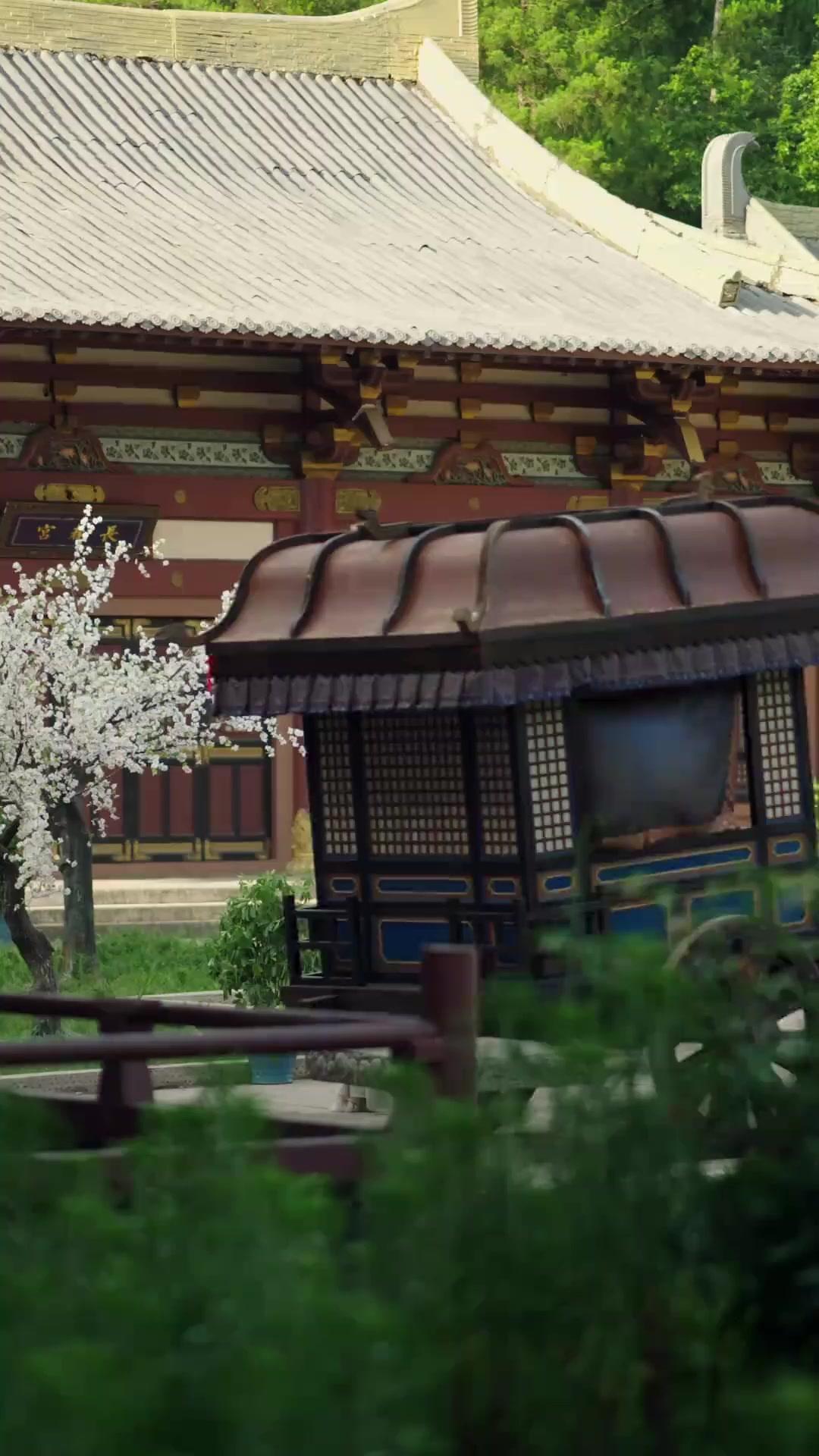 RÉINCARNATION : LA ROUTE DE L'IMPERATRICE