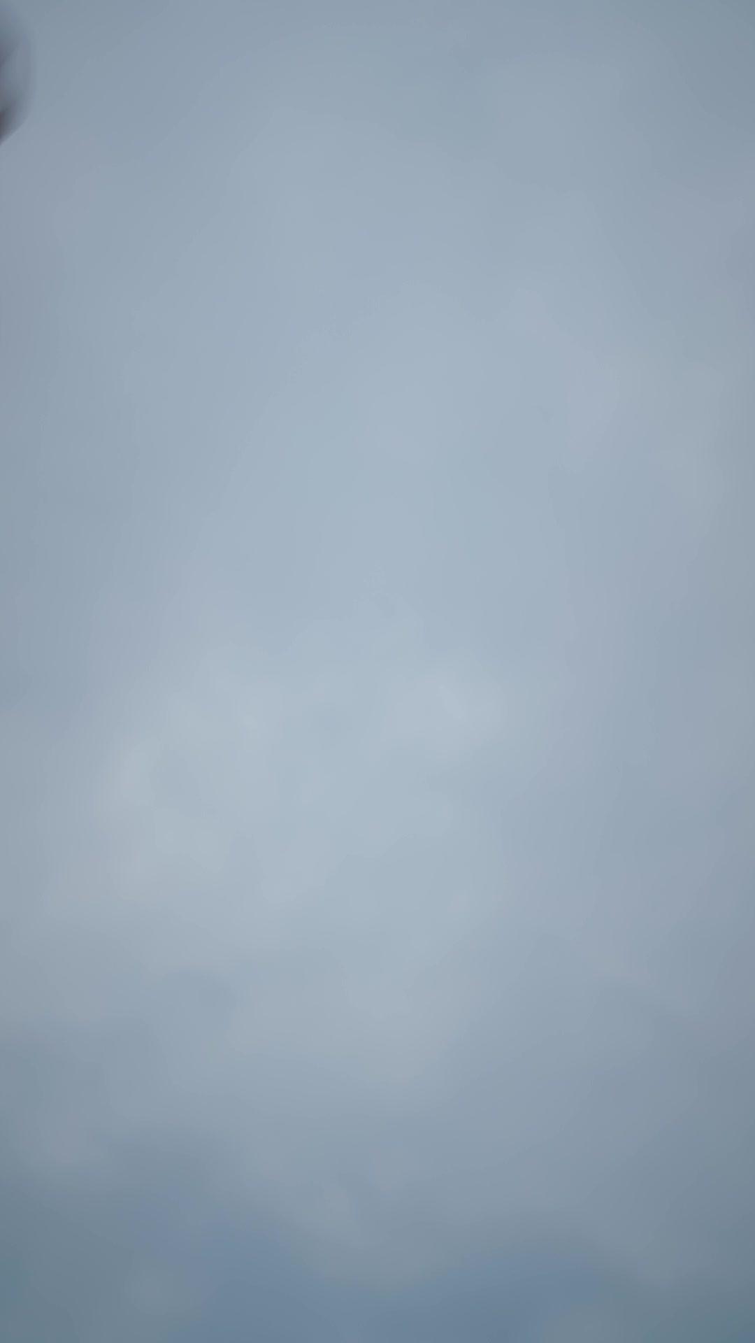 父愛成燼，復仇花開