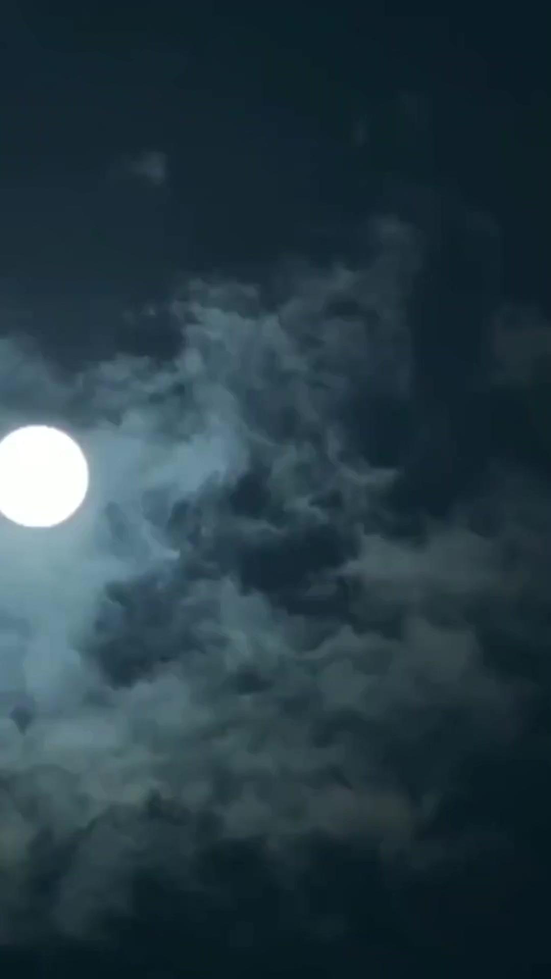 My Clingy Husband by Contract