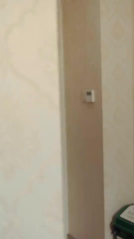 L'Âme des Arts Martiaux du Dacia