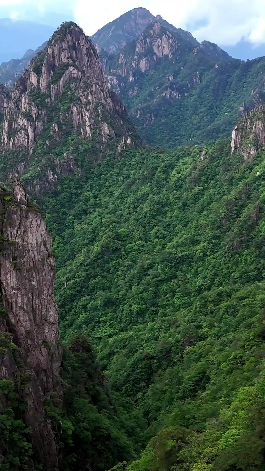 Destino forjado al filo