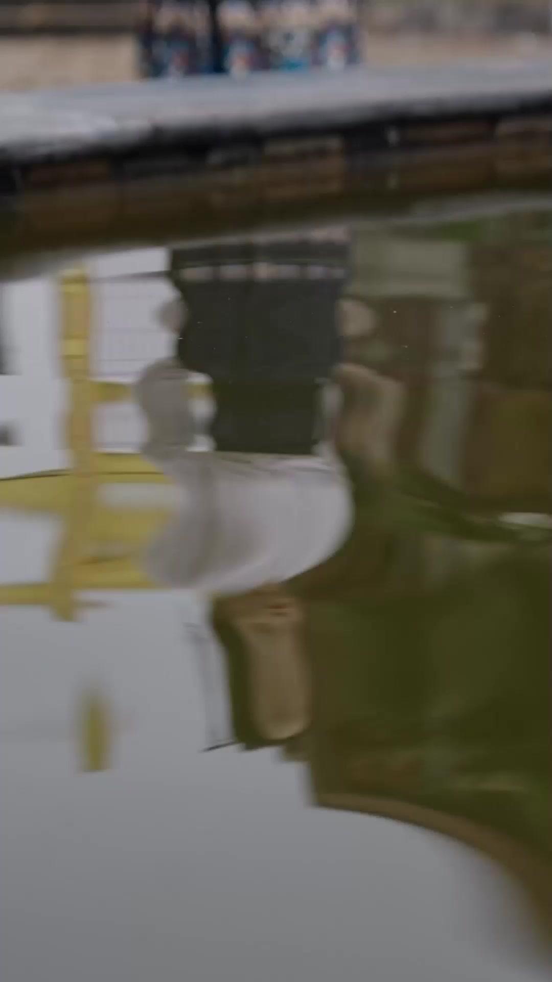 Agent Dragon Lady: The Return