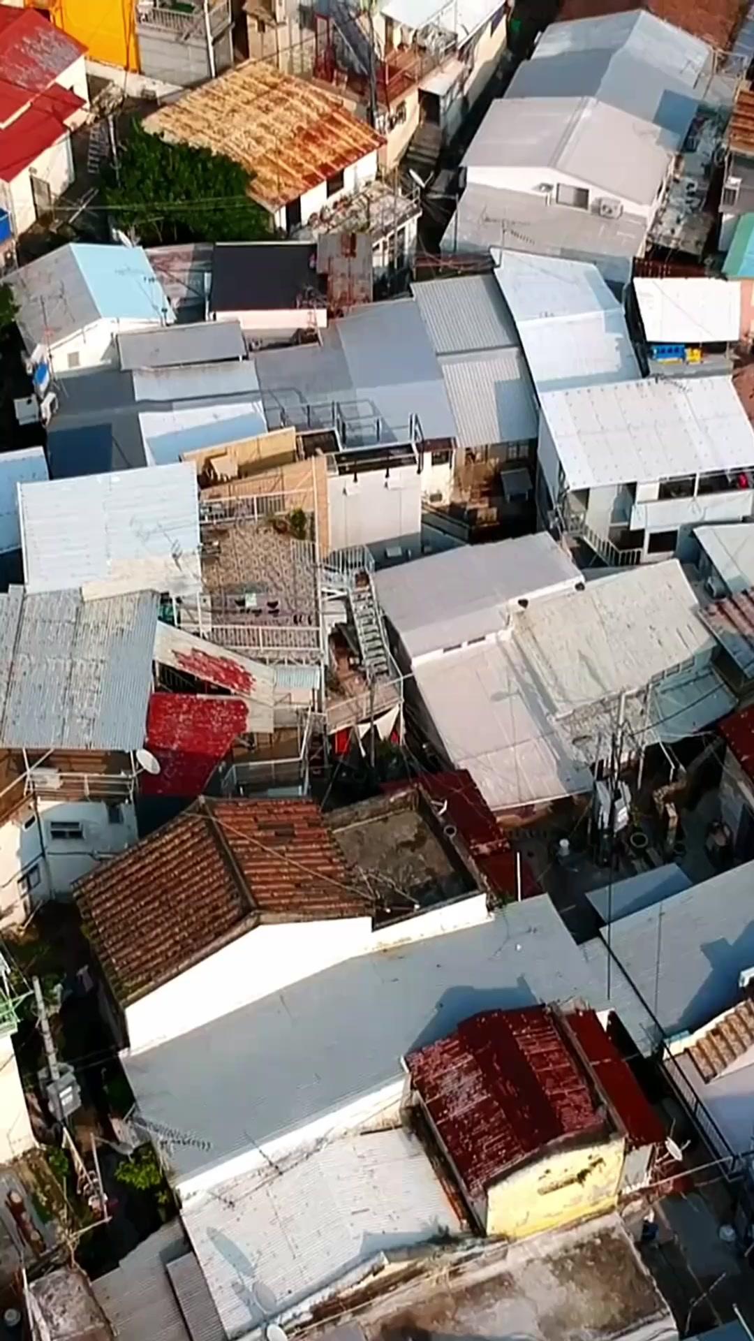 (더빙) 벚꽃 아래 뒤바뀐 운명