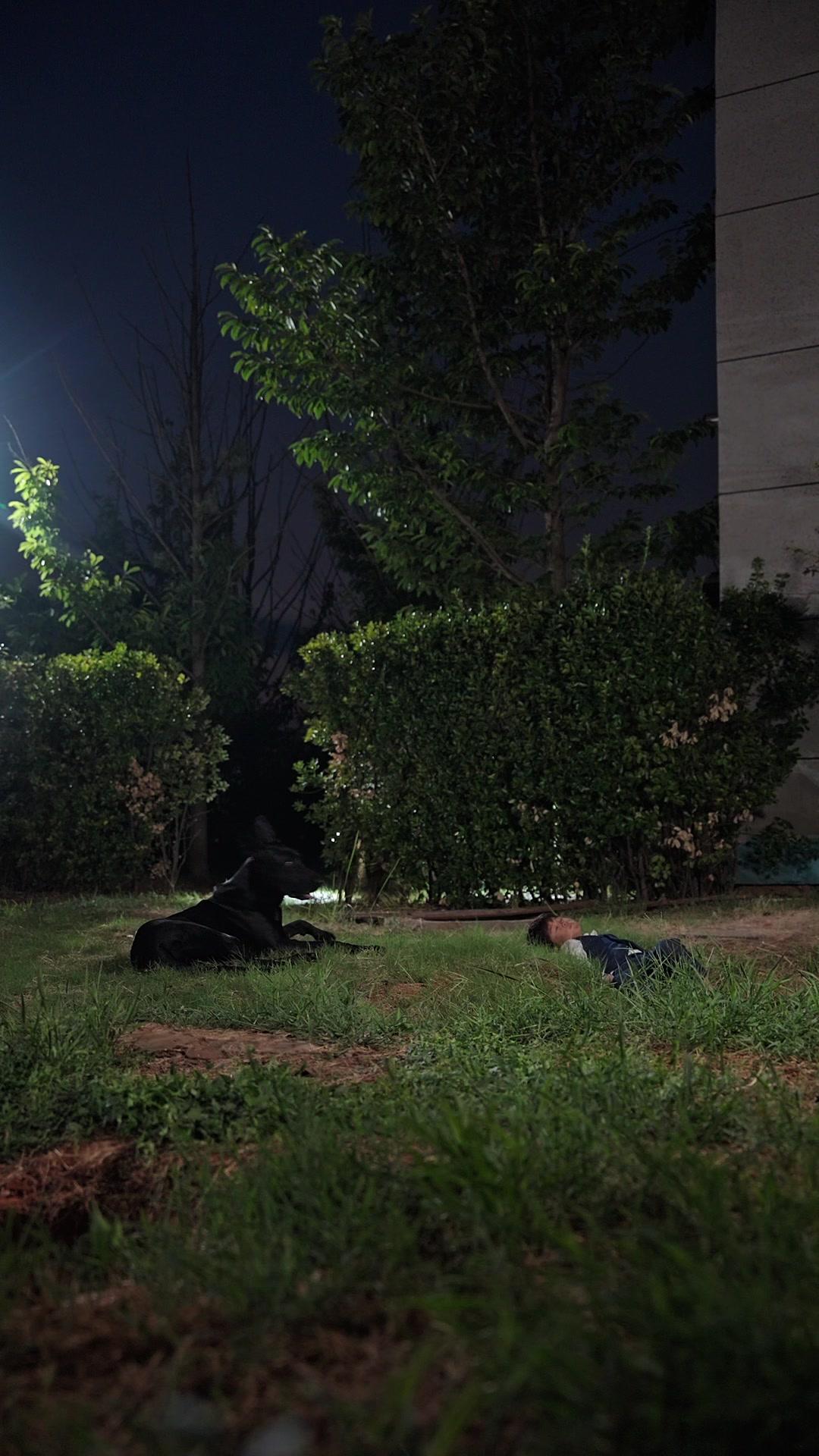 Si Penjinak Hati dan Hewan