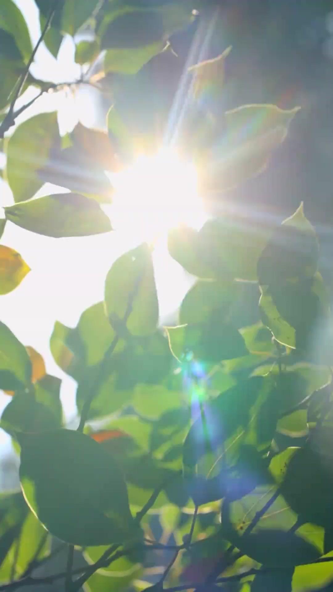 별이 내리는 잠