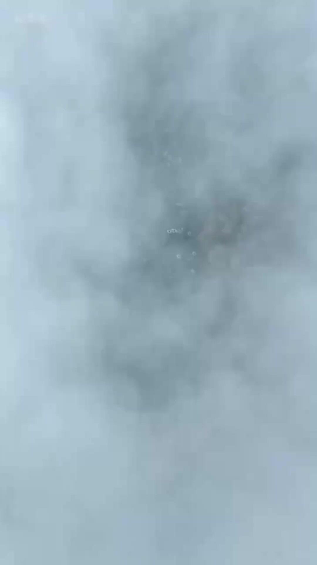 仙人社畜の俺が、家族ごと成り上がる