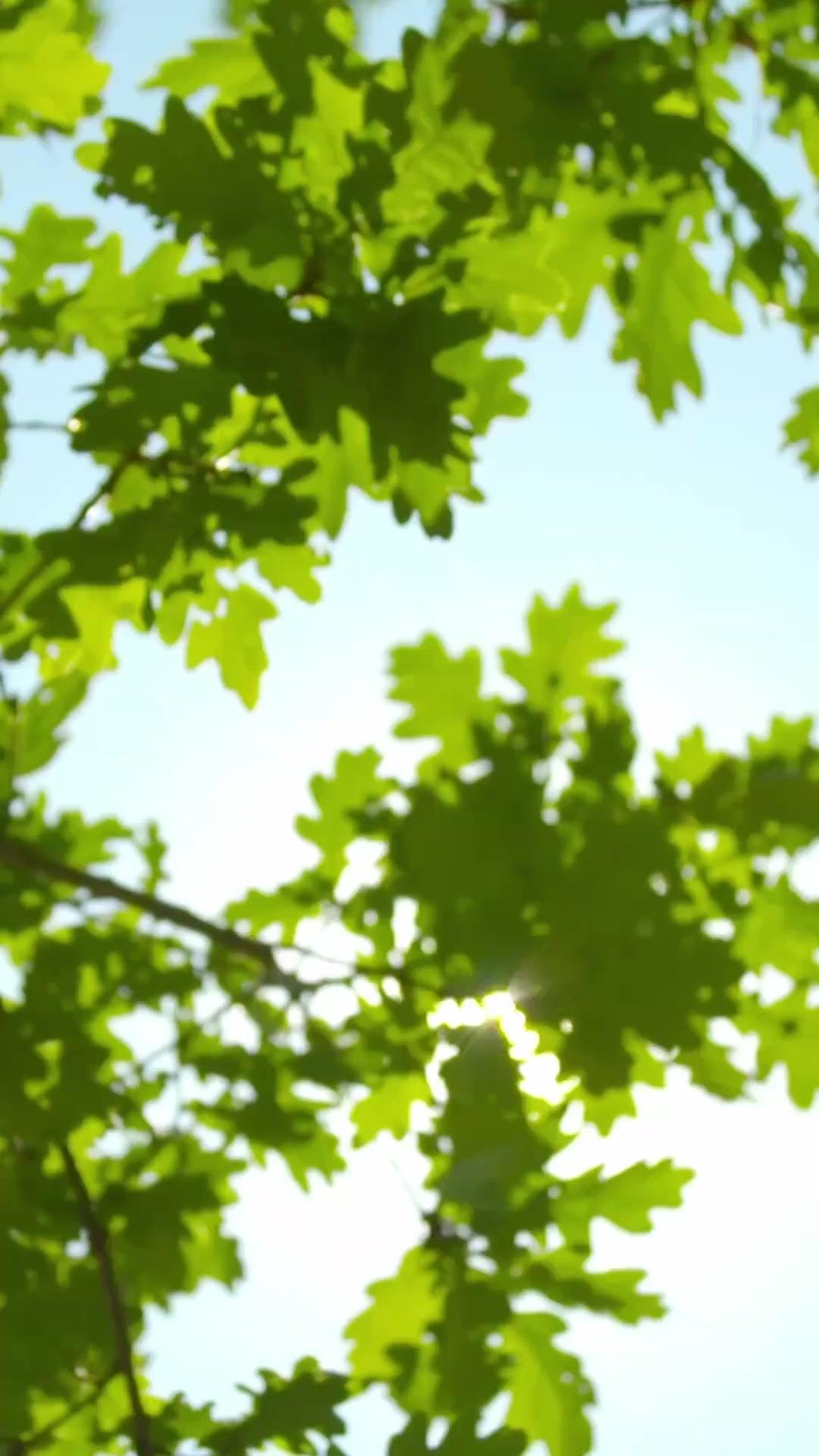 ¡Que se case el pueblo!