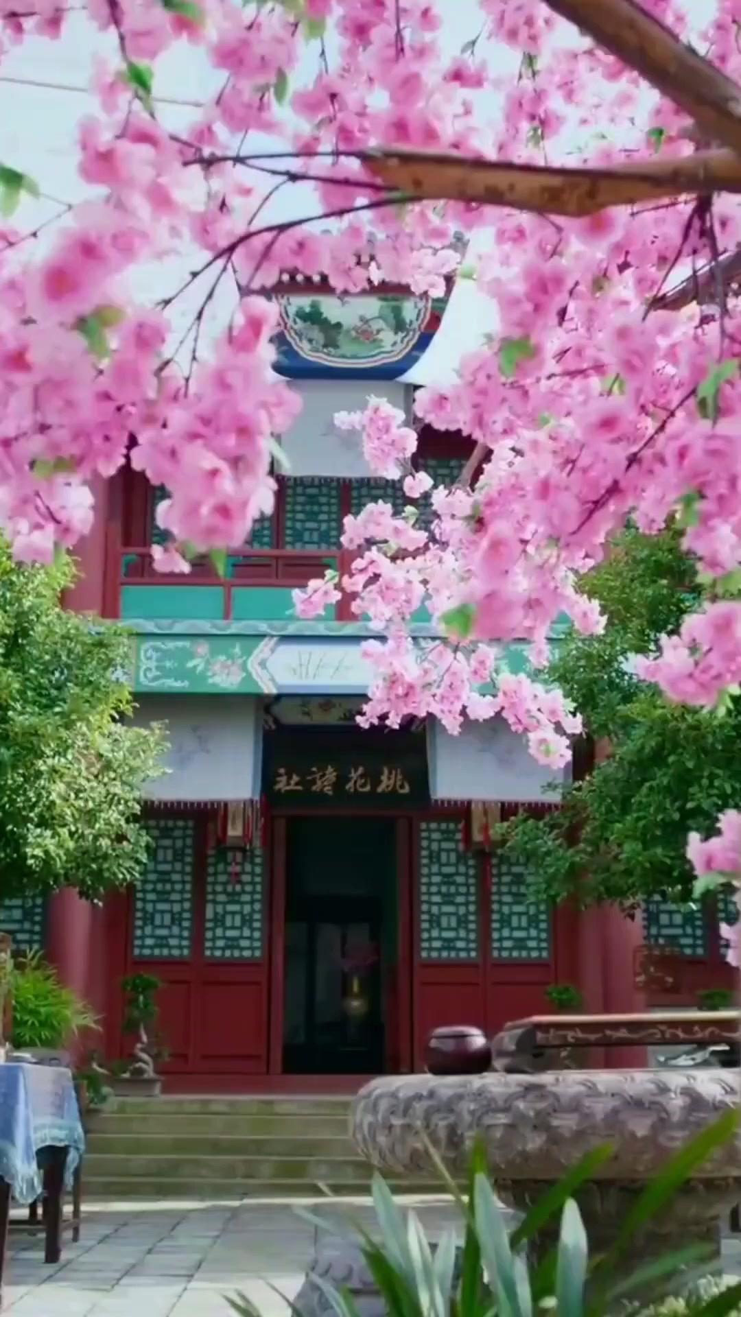 YÊU NHẦM THỜI KHÔNG