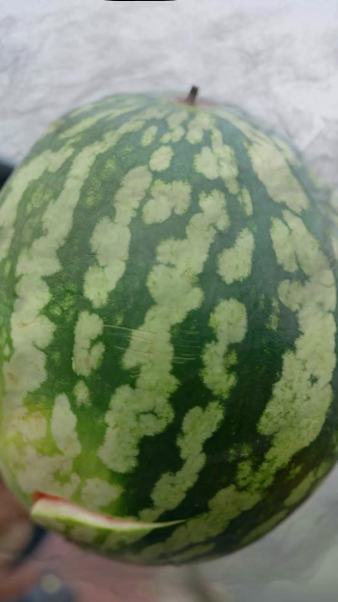 A Redenção do Genro