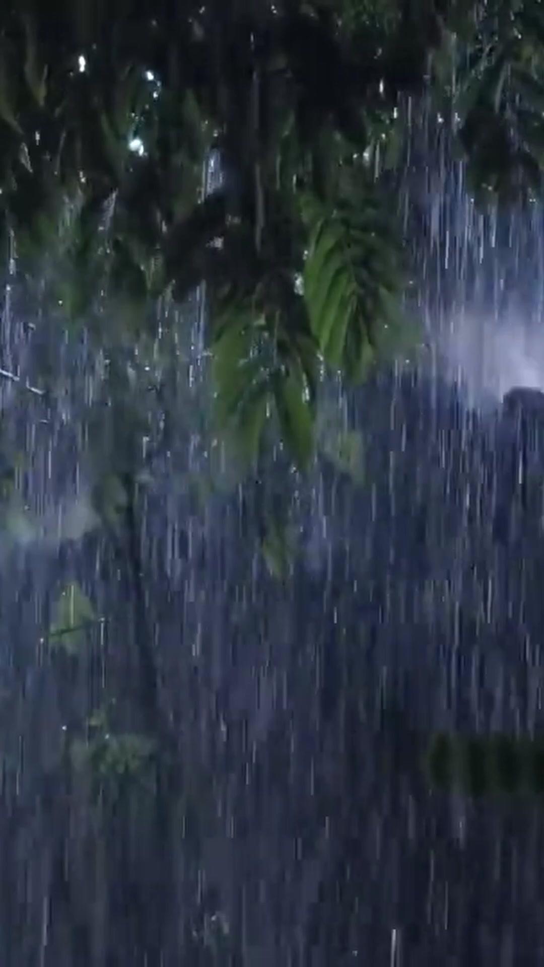 Her Last Days to Goodbye