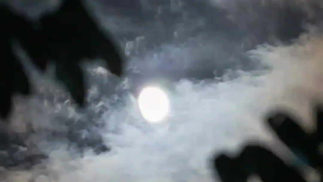 (Dublajlı) Ölümsüz Düştü Dünyaya, Eşim Kara Anka: Ay Işığı Altında Kılıç Çıktı!