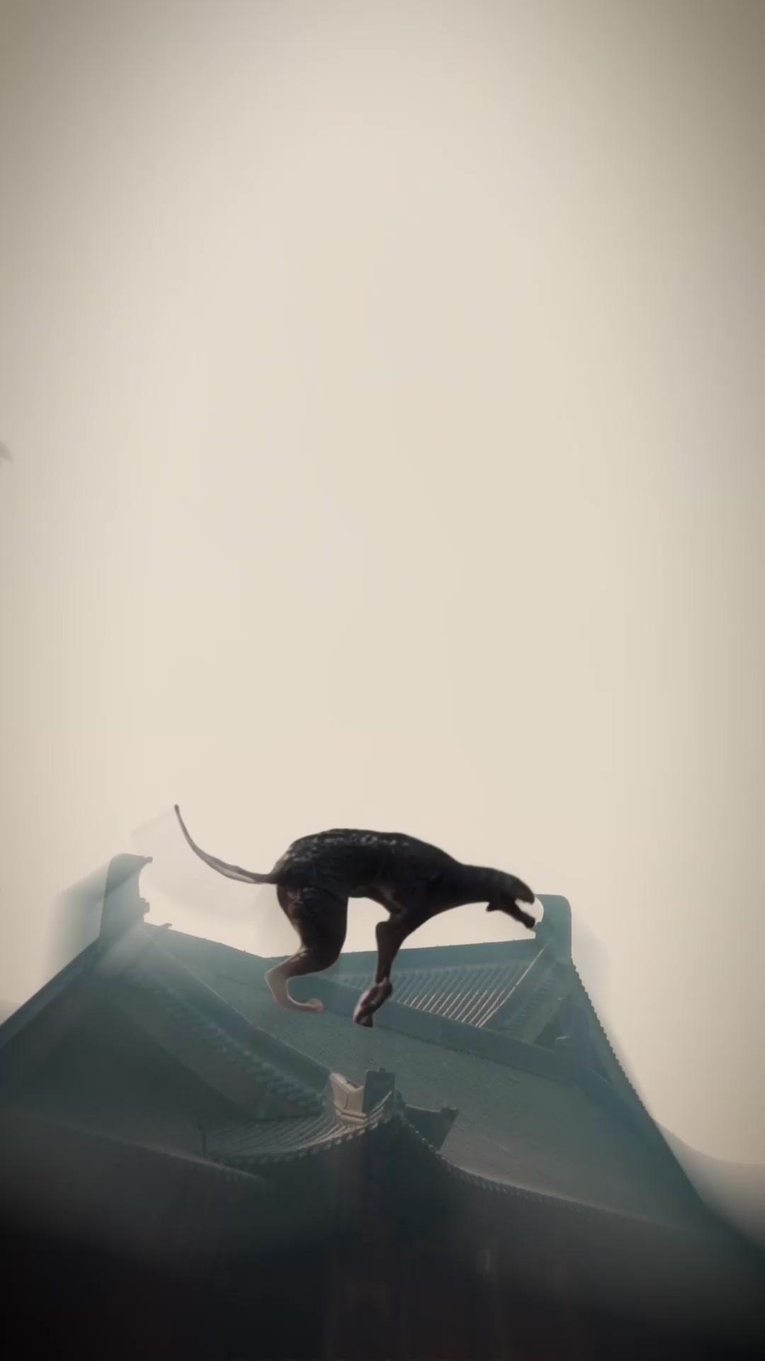 Janji Cinta Dua Dunia